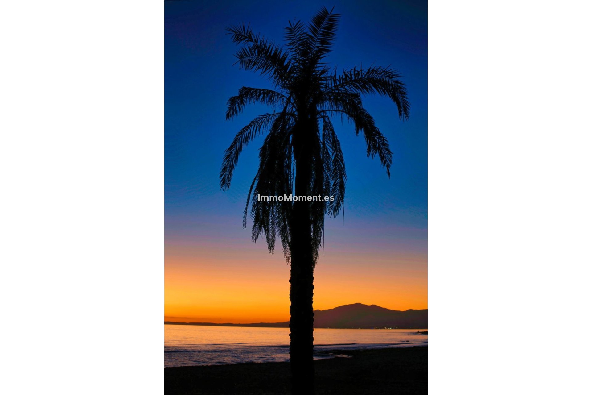 Resale - Apartment - Marbella - Reserva de Marbella