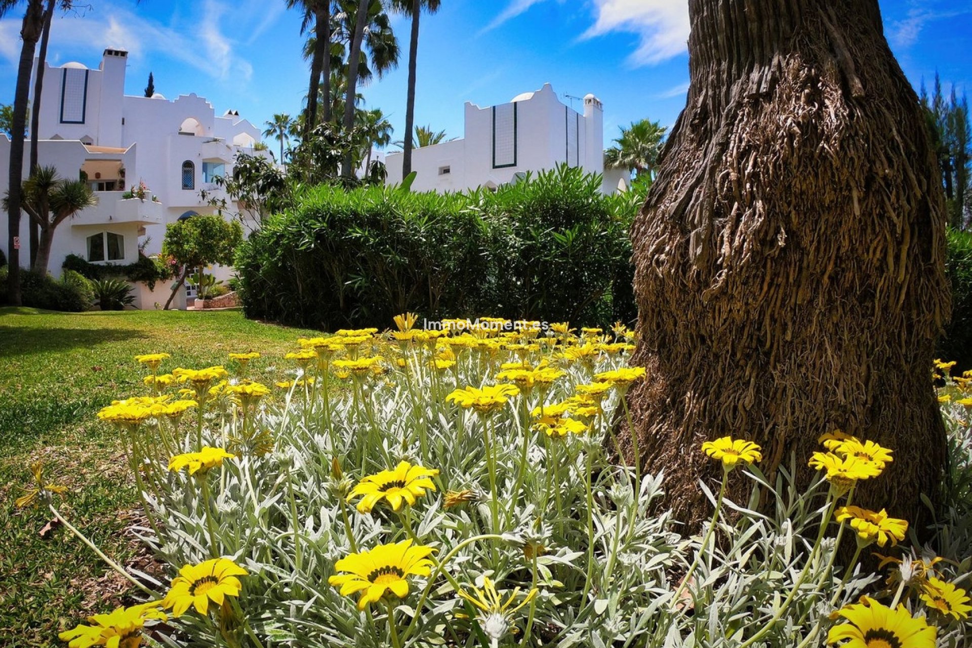 Resale - Apartment - Marbella - Reserva de Marbella