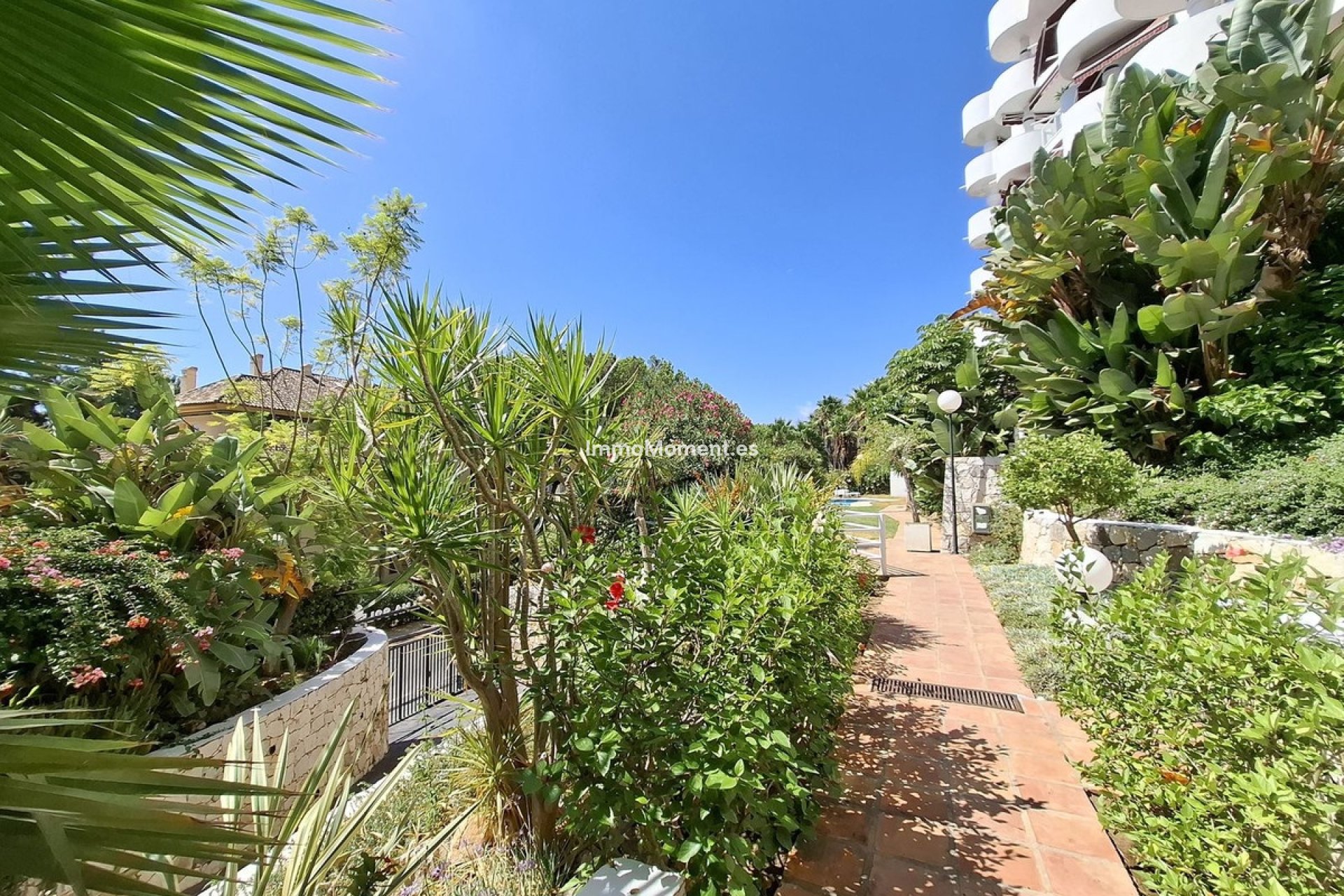 Resale - Apartment - Marbella - Río Real