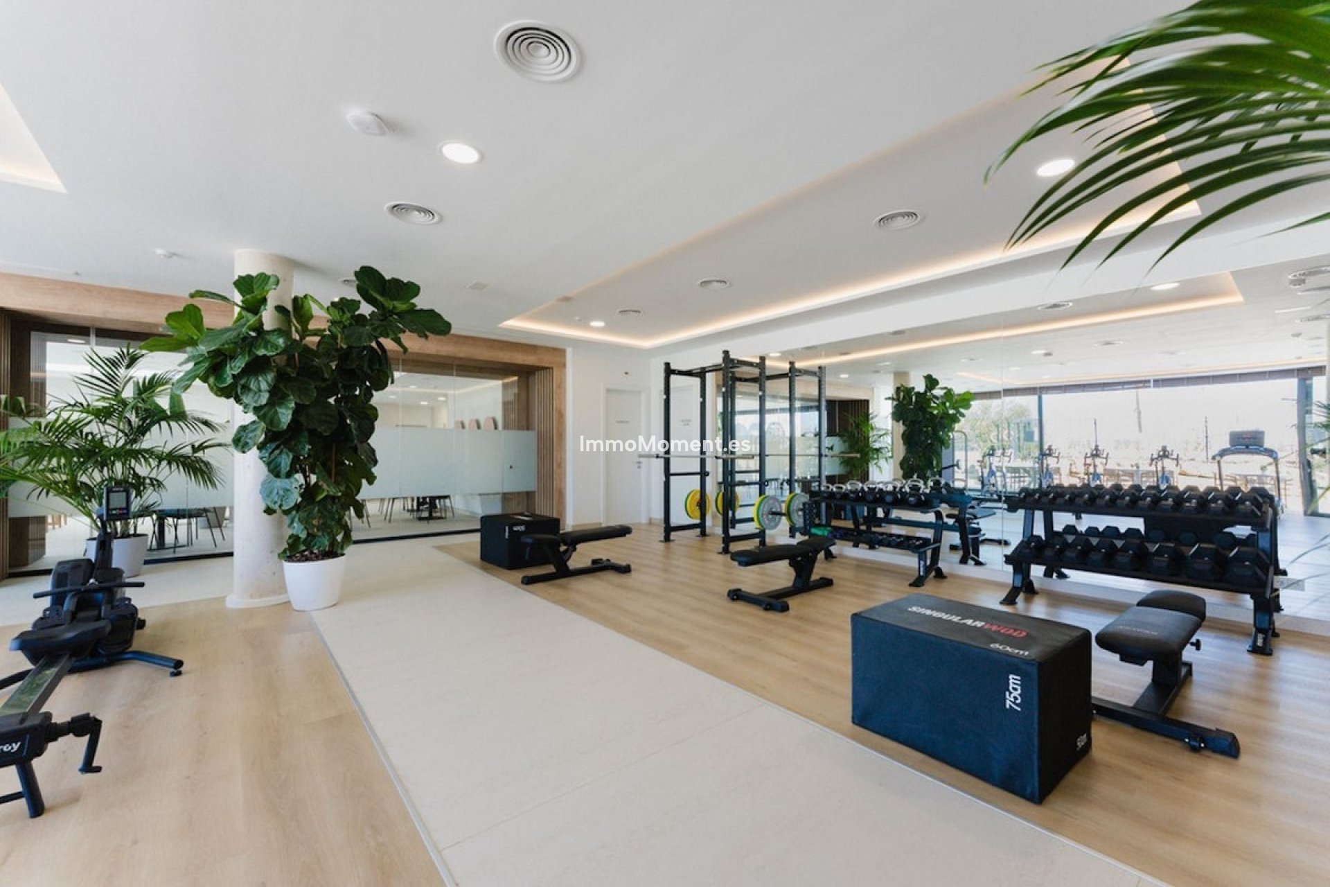 Resale - Apartment - Marbella - Santa Clara