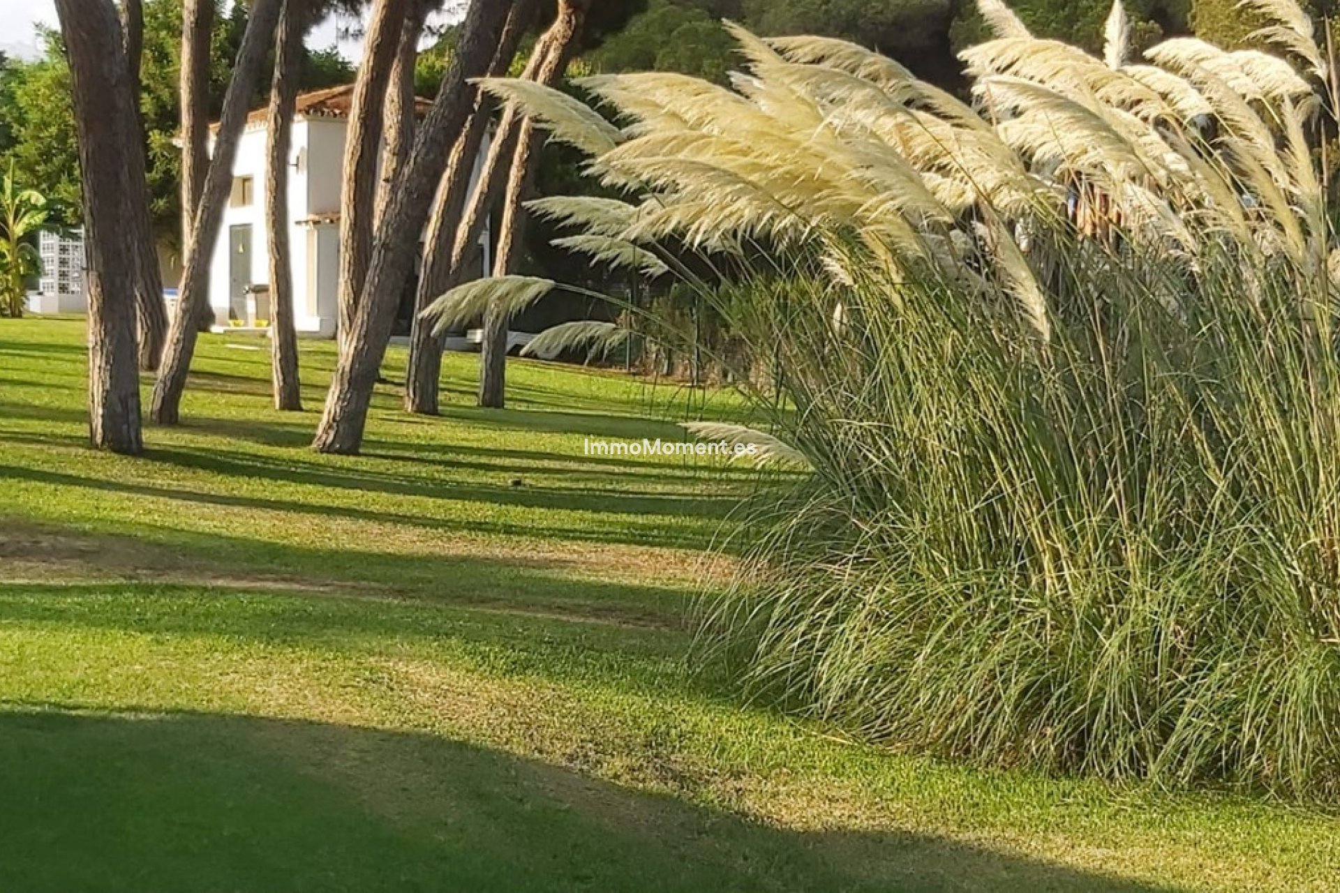 Resale - Apartment - Mijas Costa - Calahonda