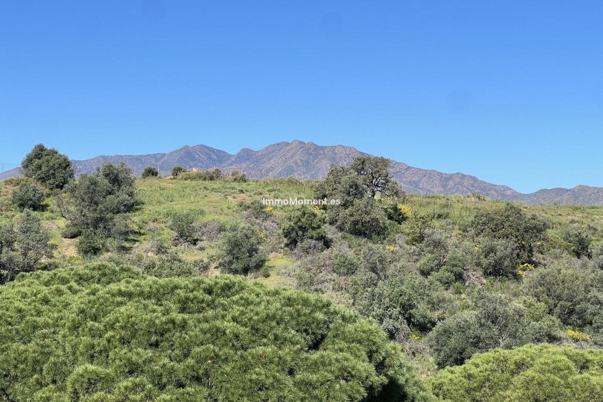 Resale - Apartment - Mijas - La Cala Hills