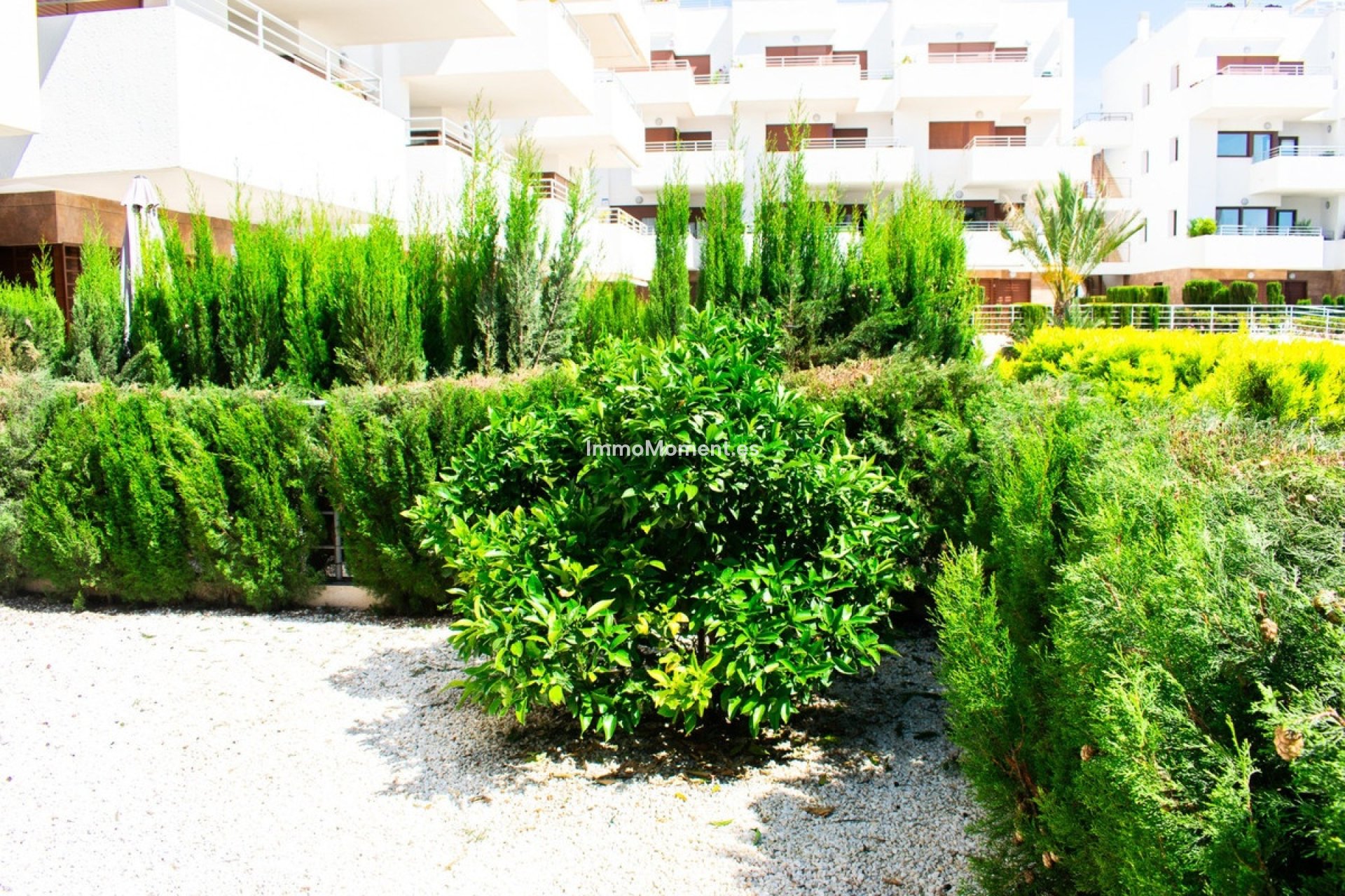 Resale - Apartment - Orihuela - Cabo Roig