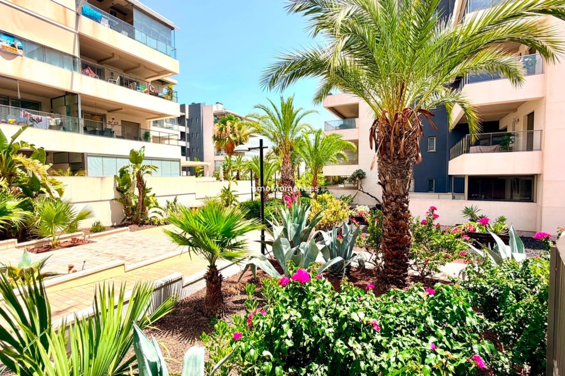 Resale - Apartment - Orihuela Costa - Cabo roig - La Zenia