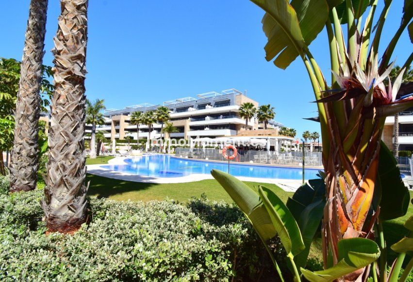 Resale - Apartment - Orihuela Costa - Playa Flamenca