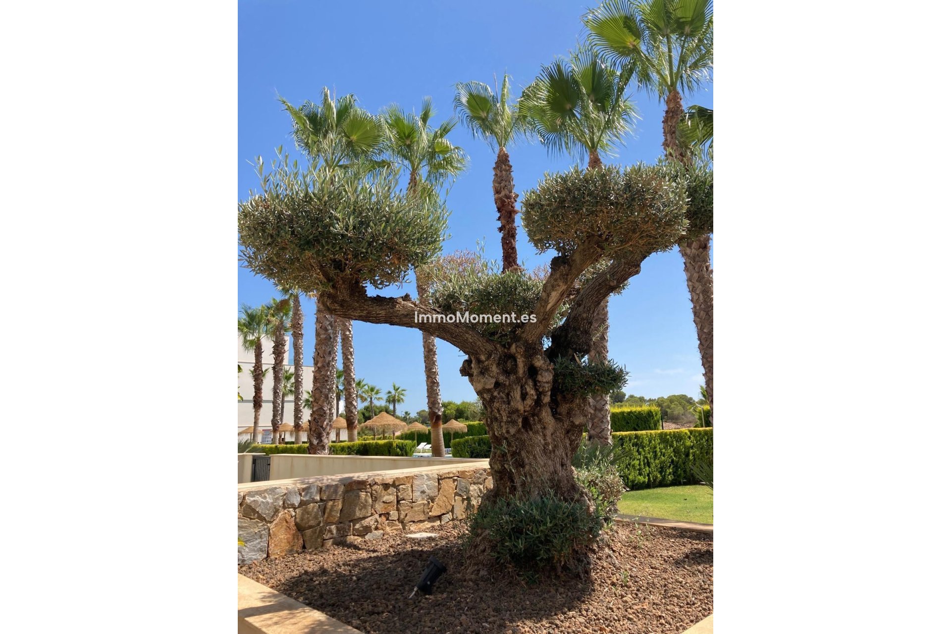 Resale - Apartment - Orihuela - Las Colinas Golf