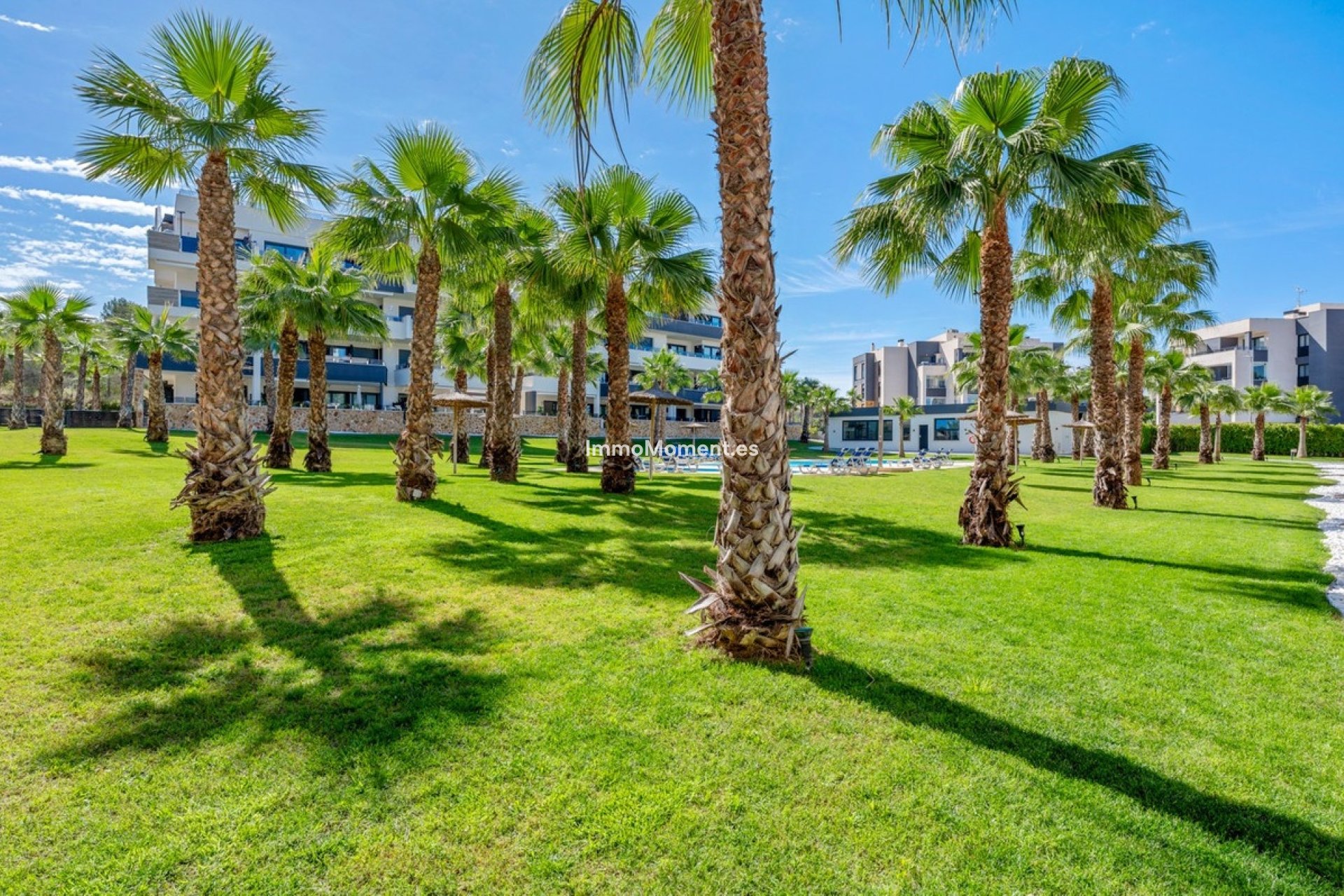 Resale - Apartment - Orihuela - Los Altos