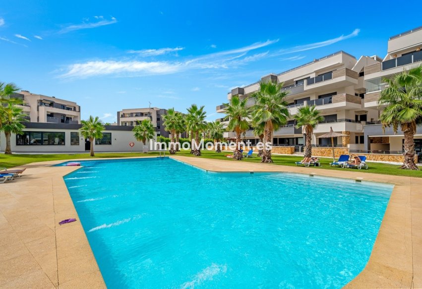Resale - Apartment - Orihuela - Los Altos