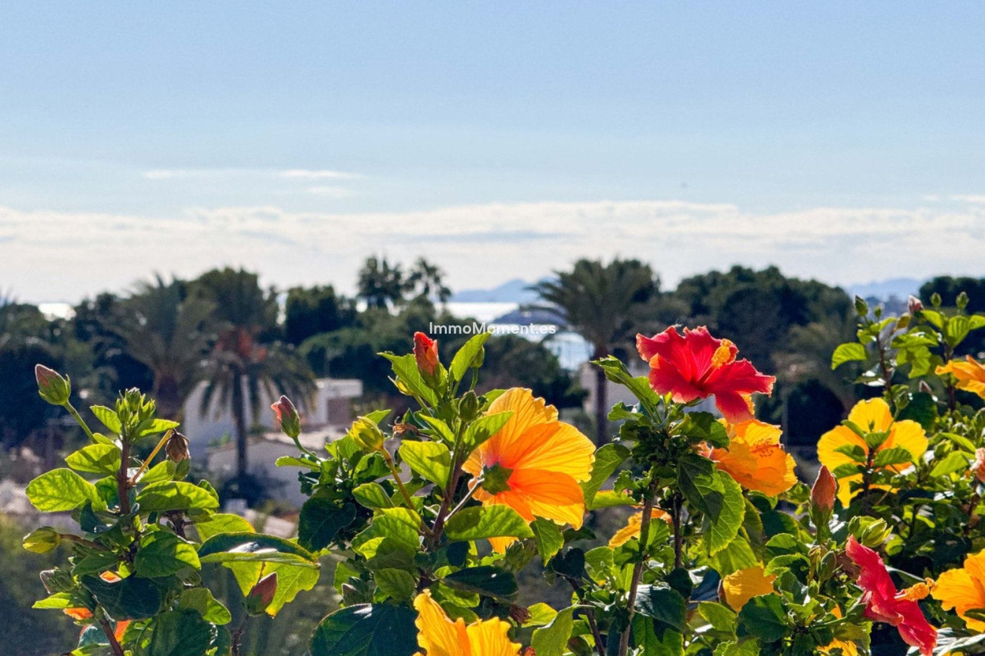 Resale - Apartment - Orihuela - Punta Prima