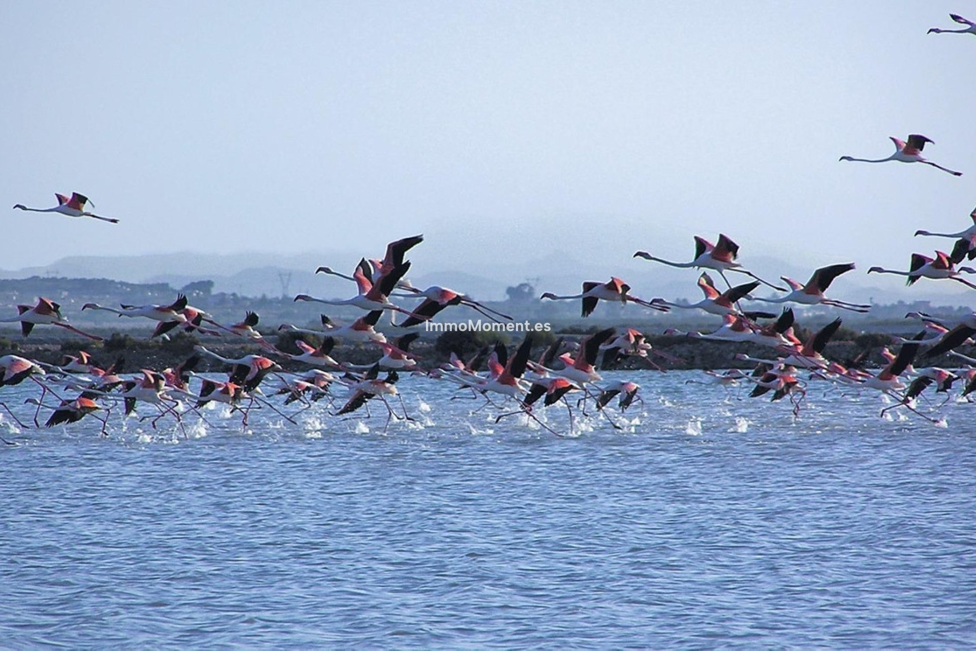 Resale - Apartment - Santa Pola - Gran Alacant