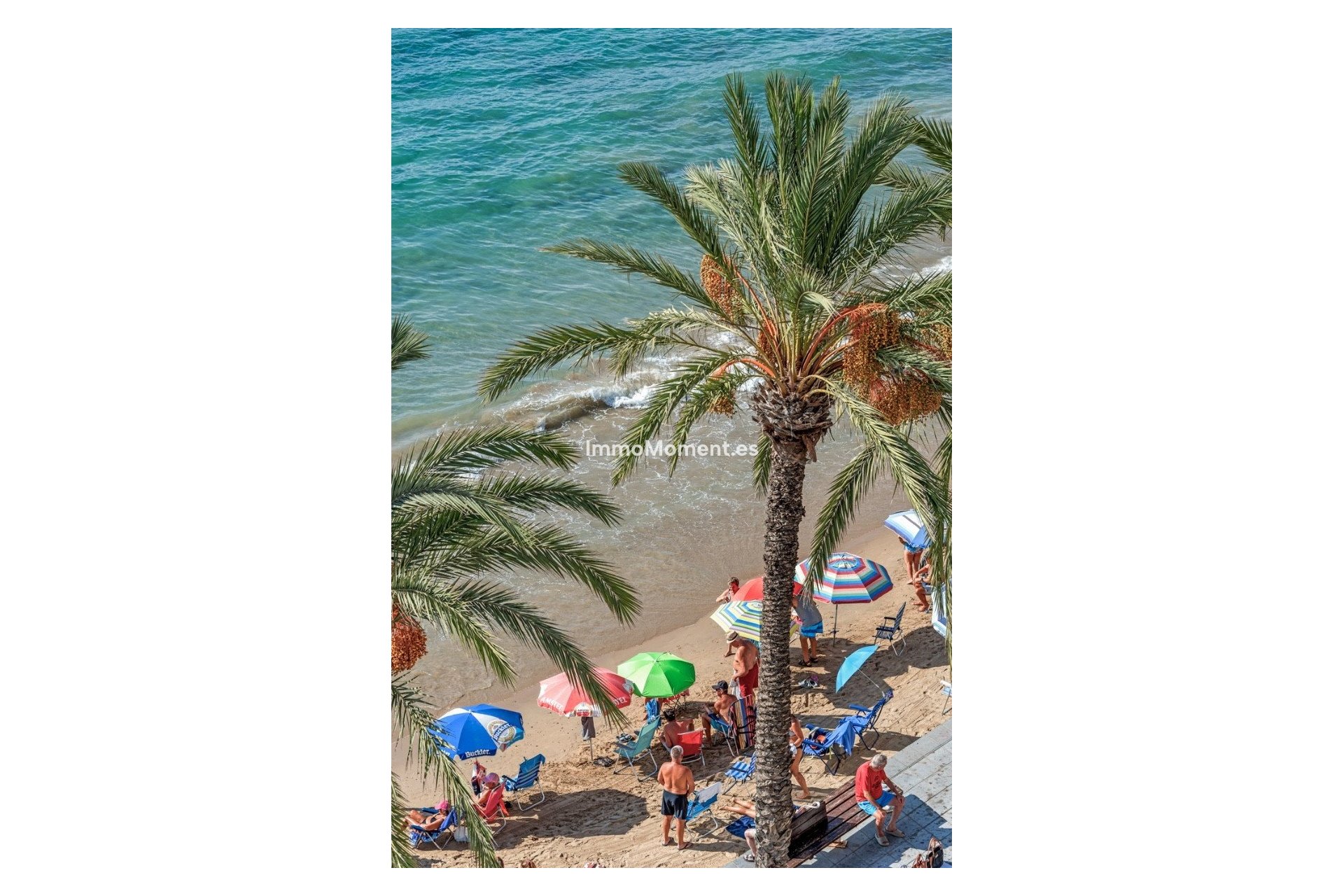 Resale - Apartment - Torrevieja - Torrevieja Centro