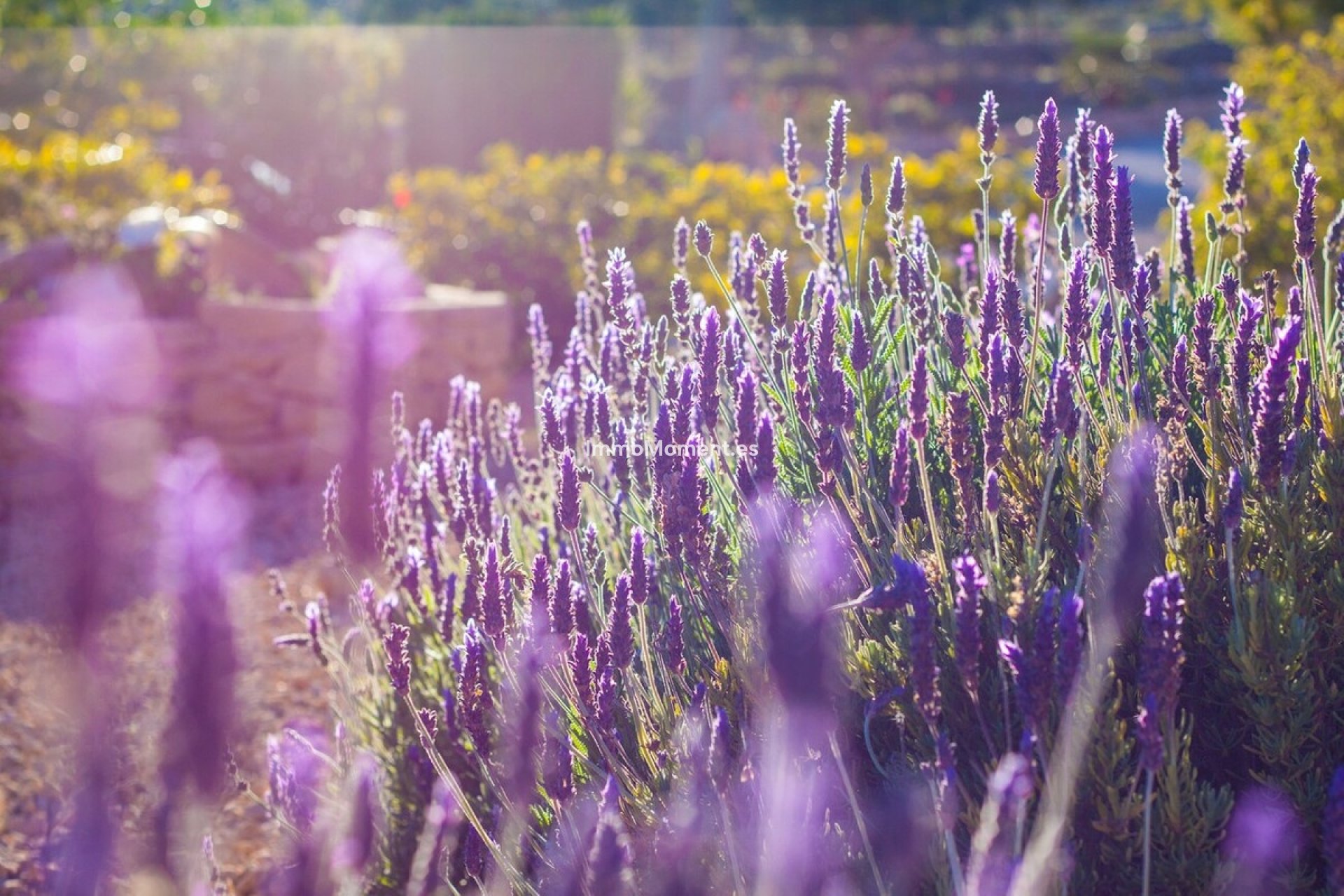 Resale - Country house - Benissa - Benissa Centro