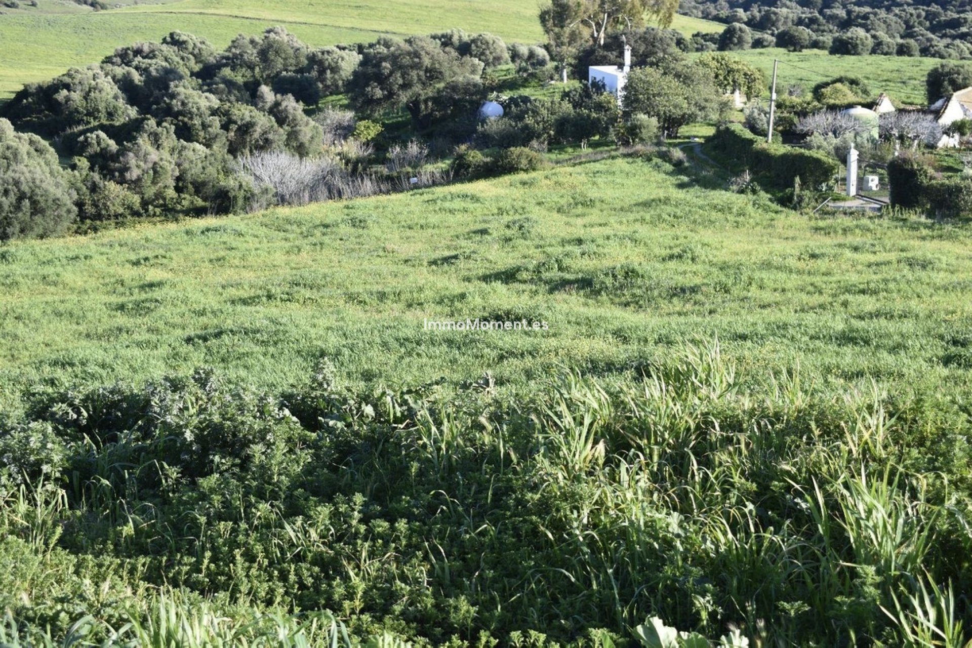 Resale - Country house - Casares - Casares Centro