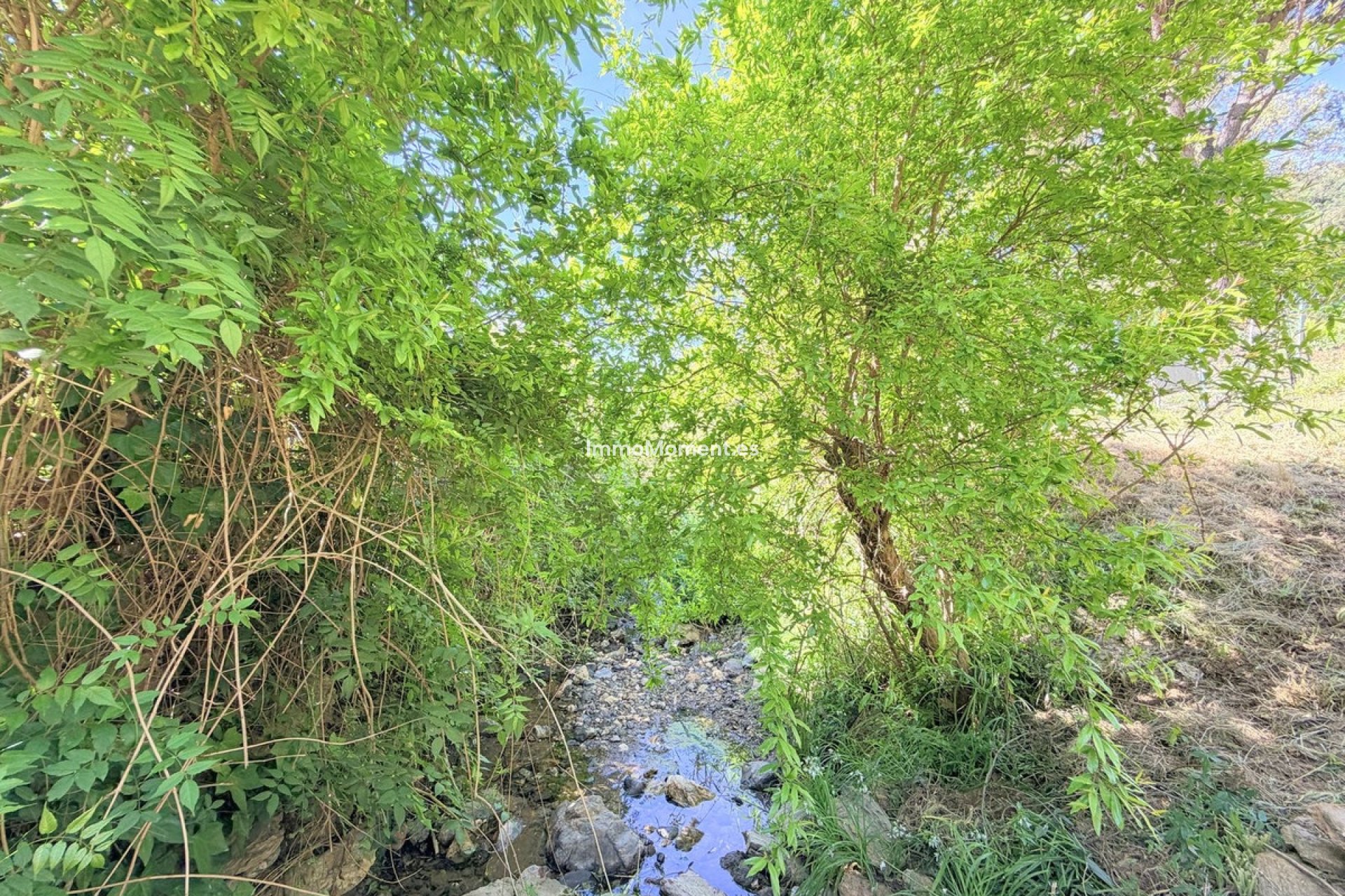 Resale - Country house - Casares - Casares Centro