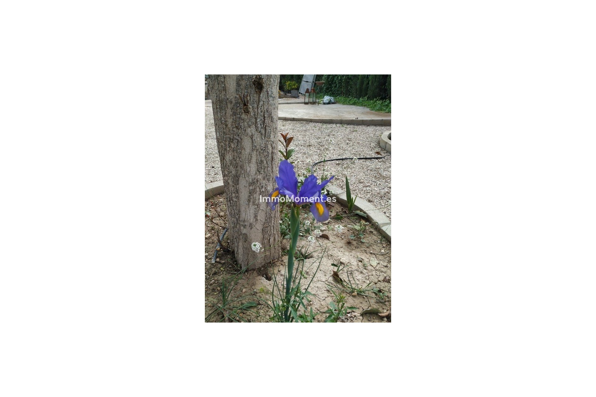 Resale - Country house - Crevillente - Crevillente - Crevillent Centro