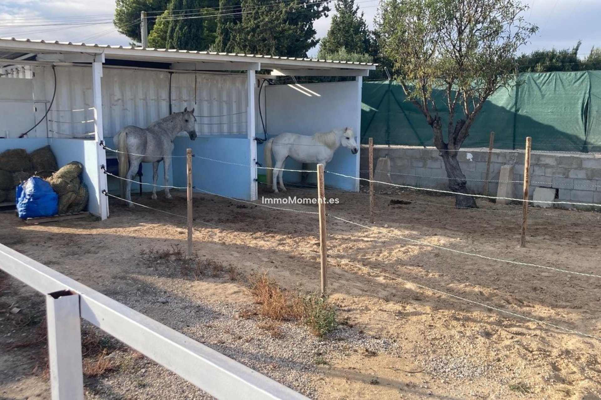 Resale - Country house - Crevillente - Crevillente - Crevillent Centro