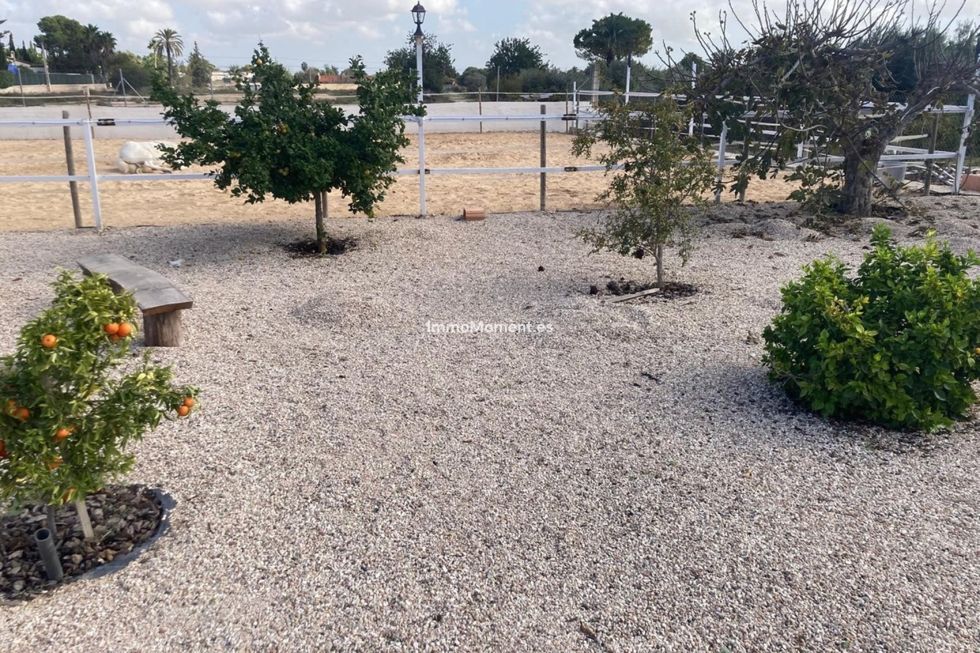 Resale - Country house - Crevillente - Crevillente - Crevillent Centro