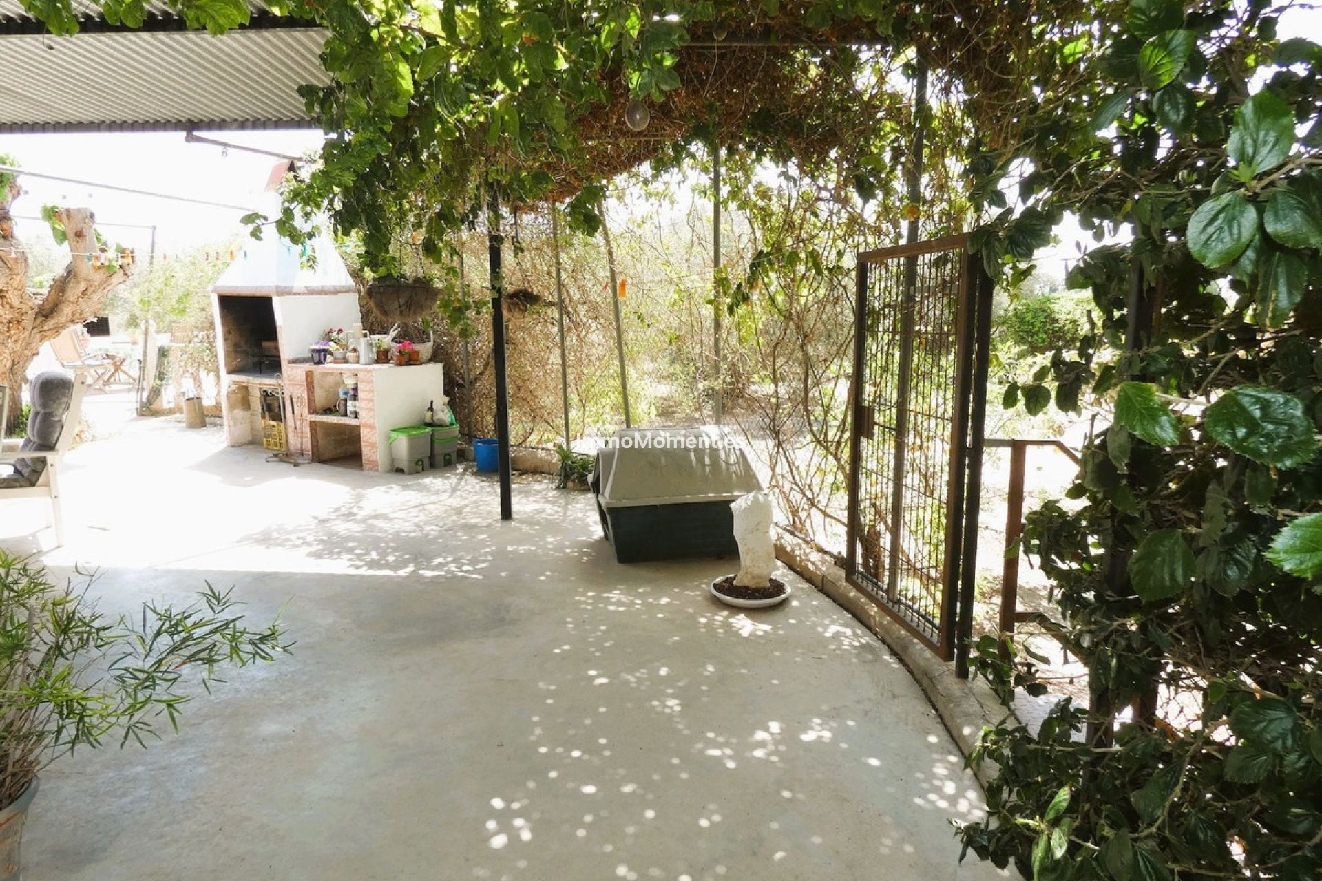 Resale - Country house - Dolores - Dolores Centro