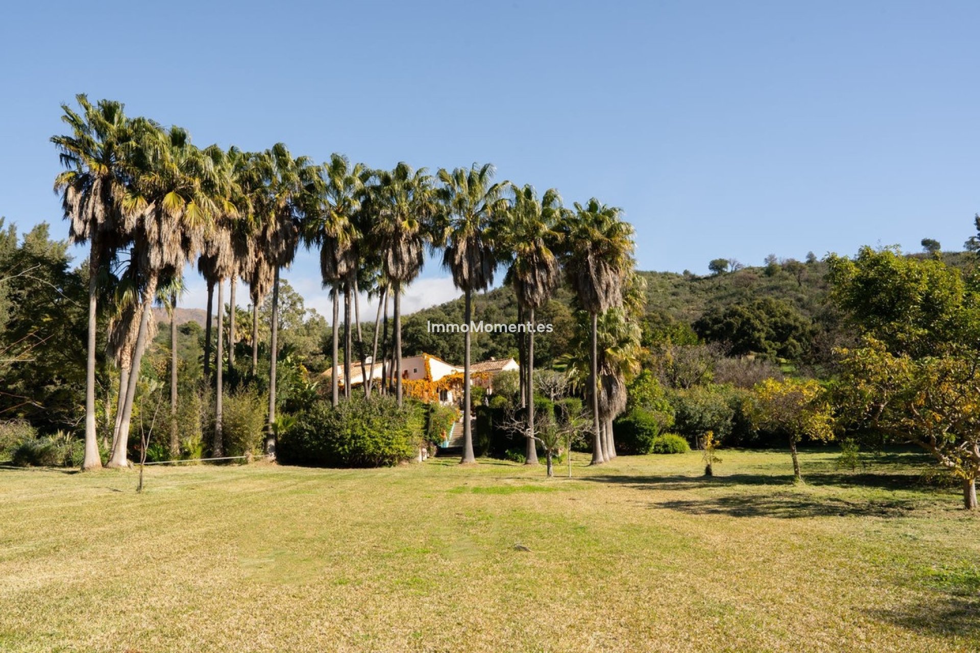 Resale - Country house - Estepona - Estepona Centro