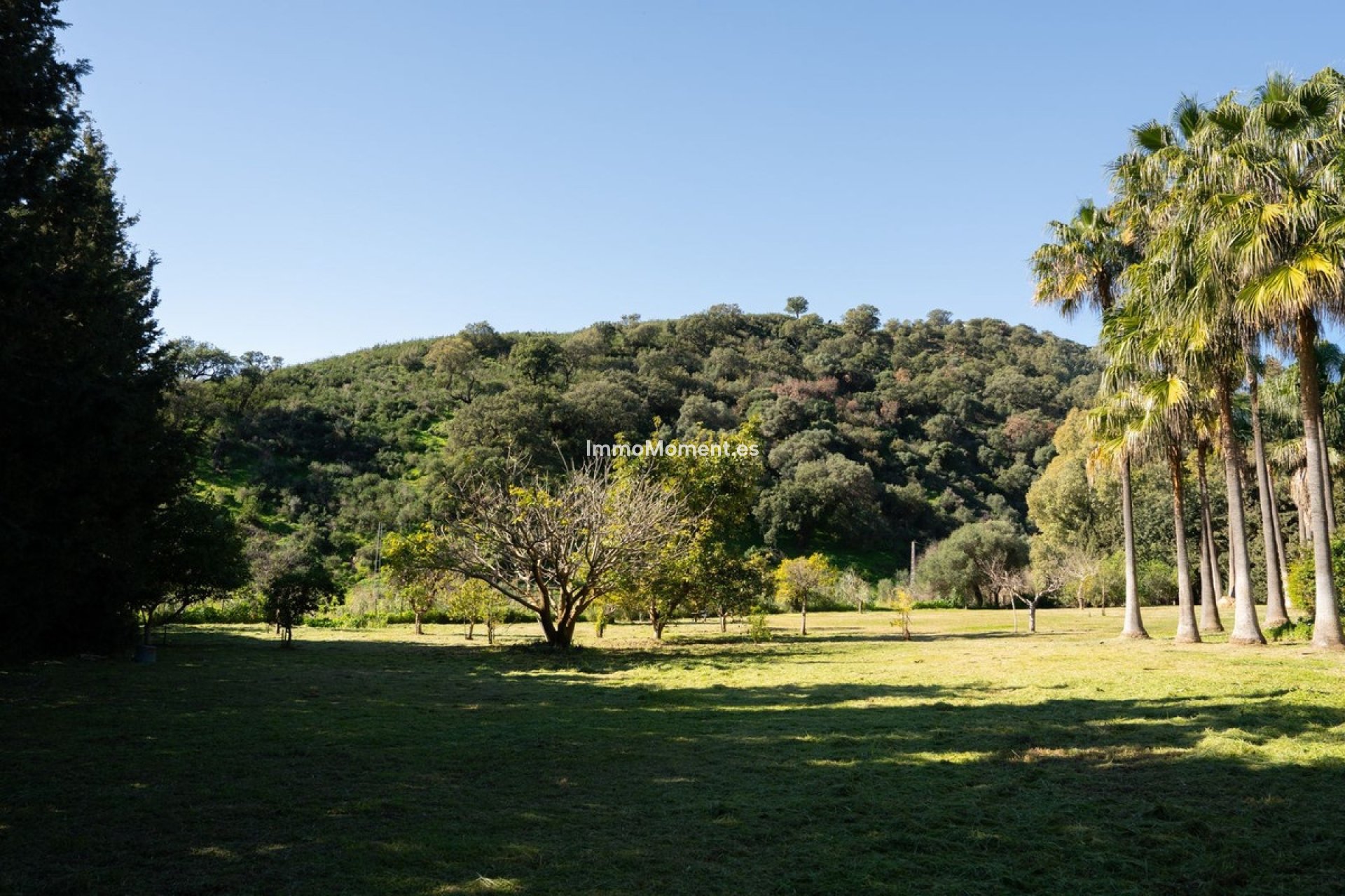 Resale - Country house - Estepona - Estepona Centro