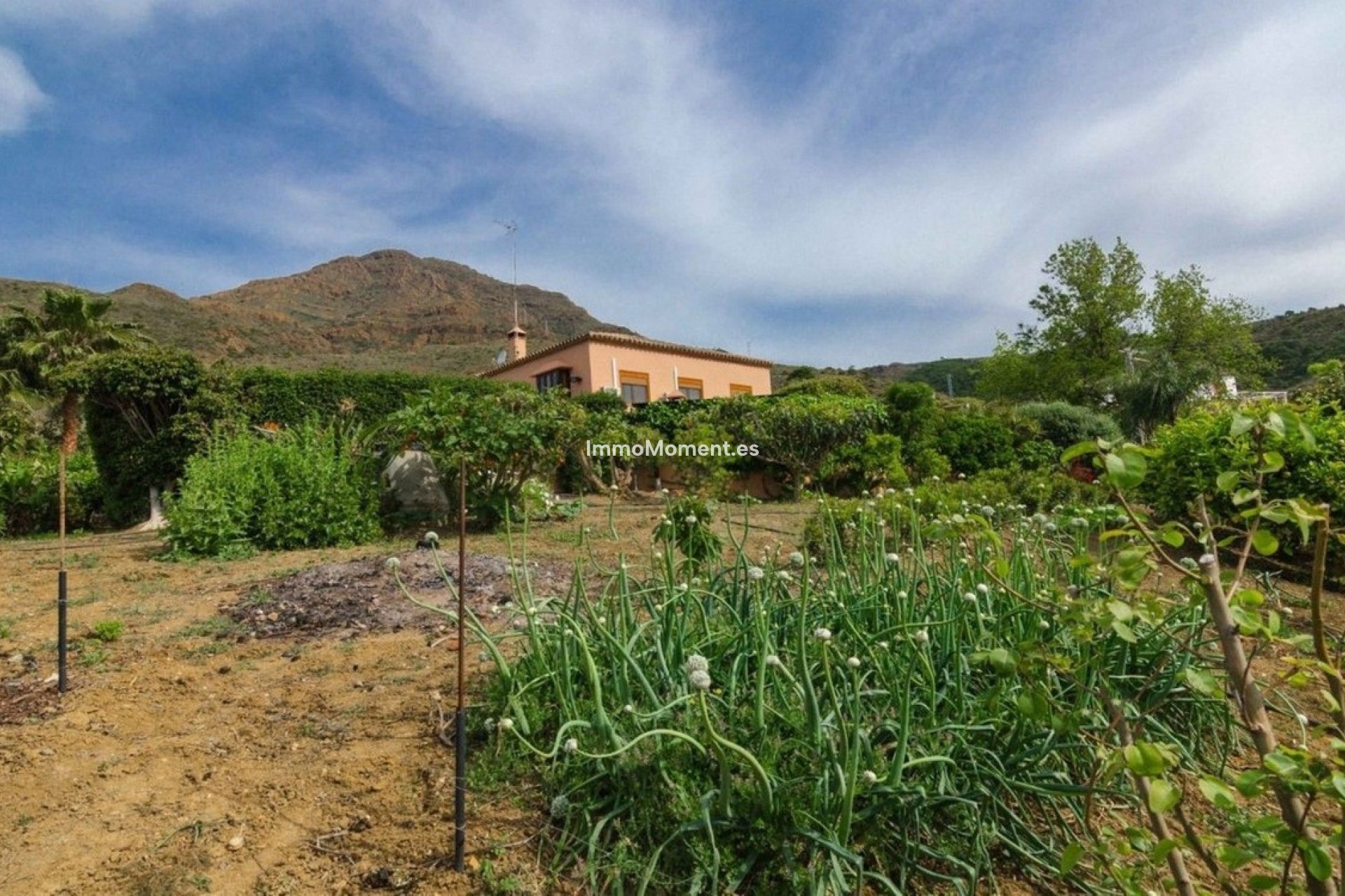 Resale - Country house - Estepona - Estepona Centro