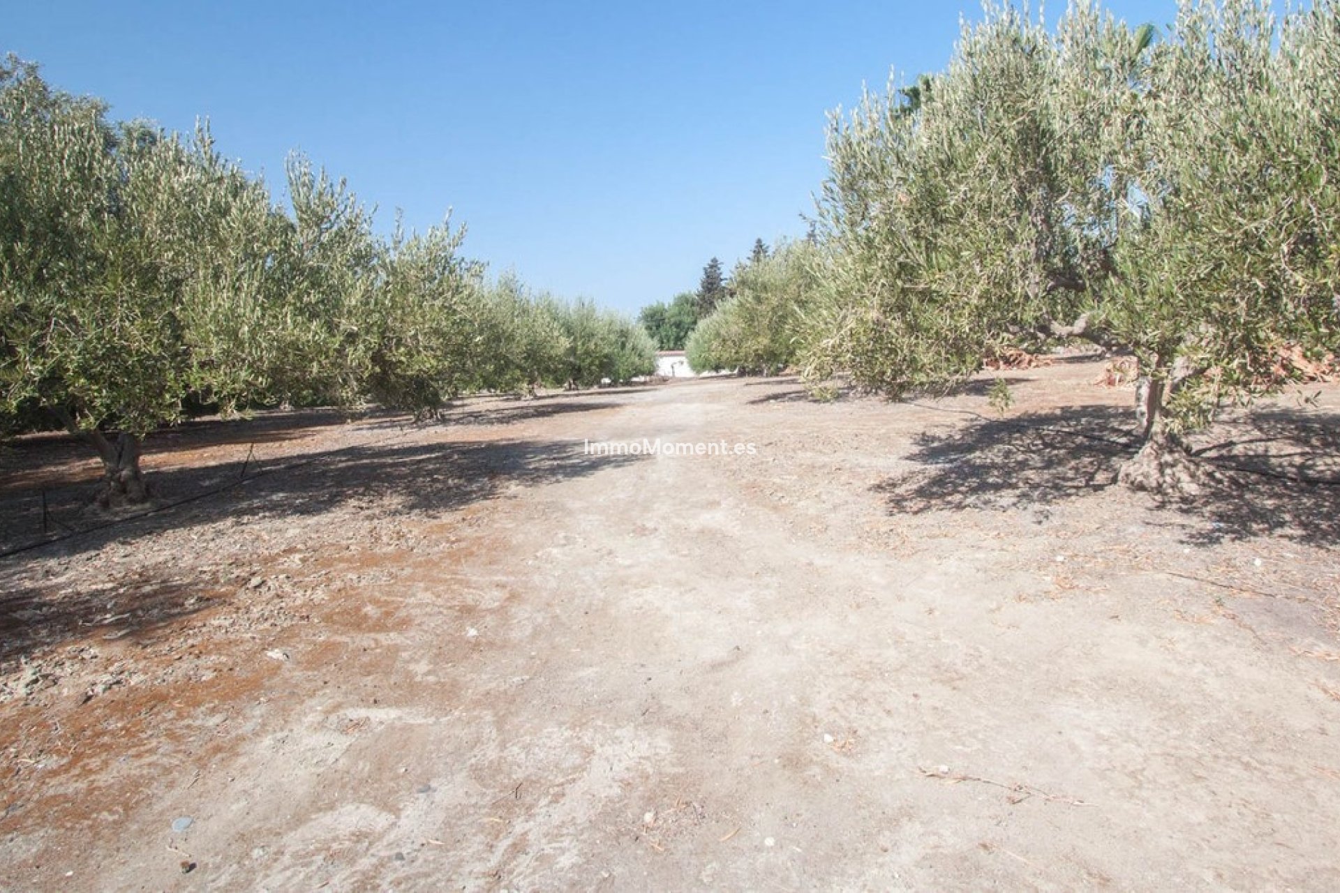 Resale - Country house - Estepona - Estepona Centro