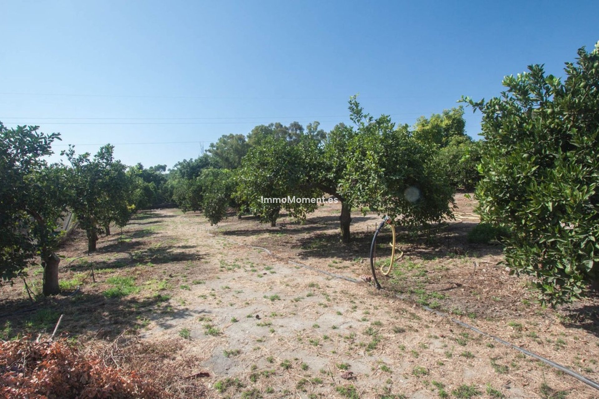 Resale - Country house - Estepona - Estepona Centro