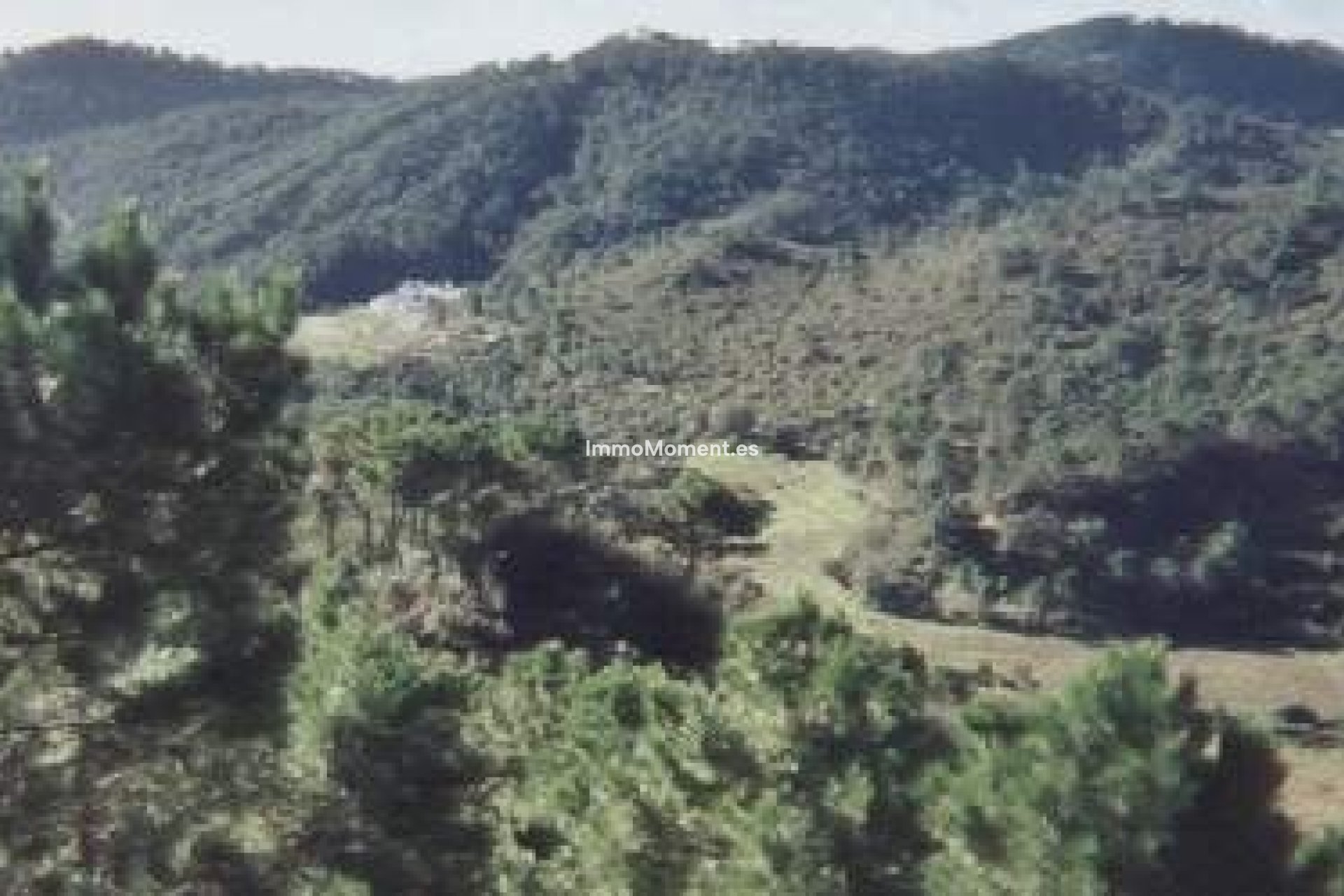 Resale - Country house - Estepona - Estepona Centro