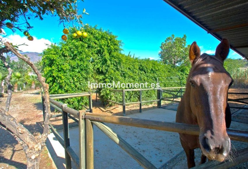 Resale - Country house - Estepona - Estepona Centro