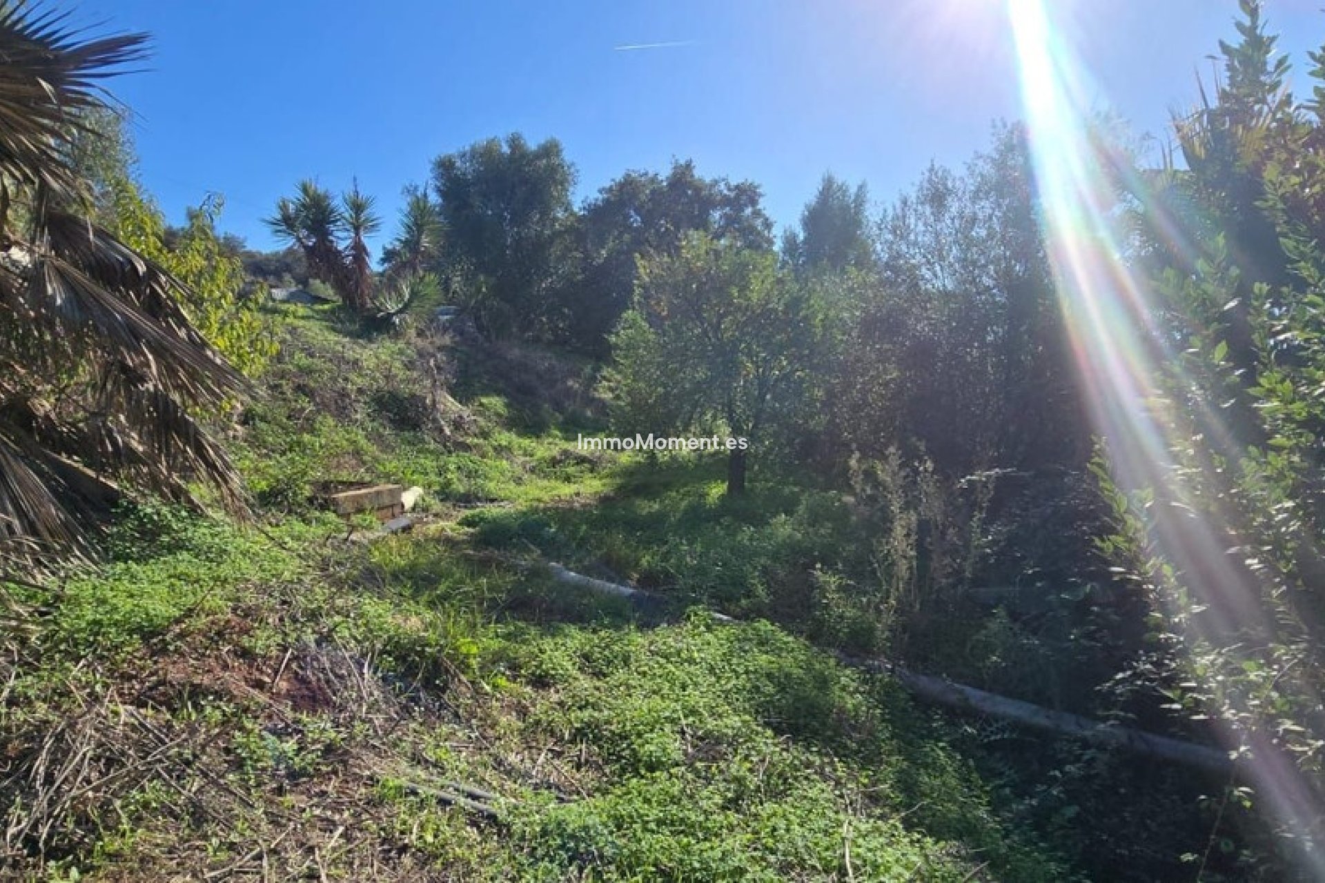 Resale - Country house - Estepona - Estepona Centro