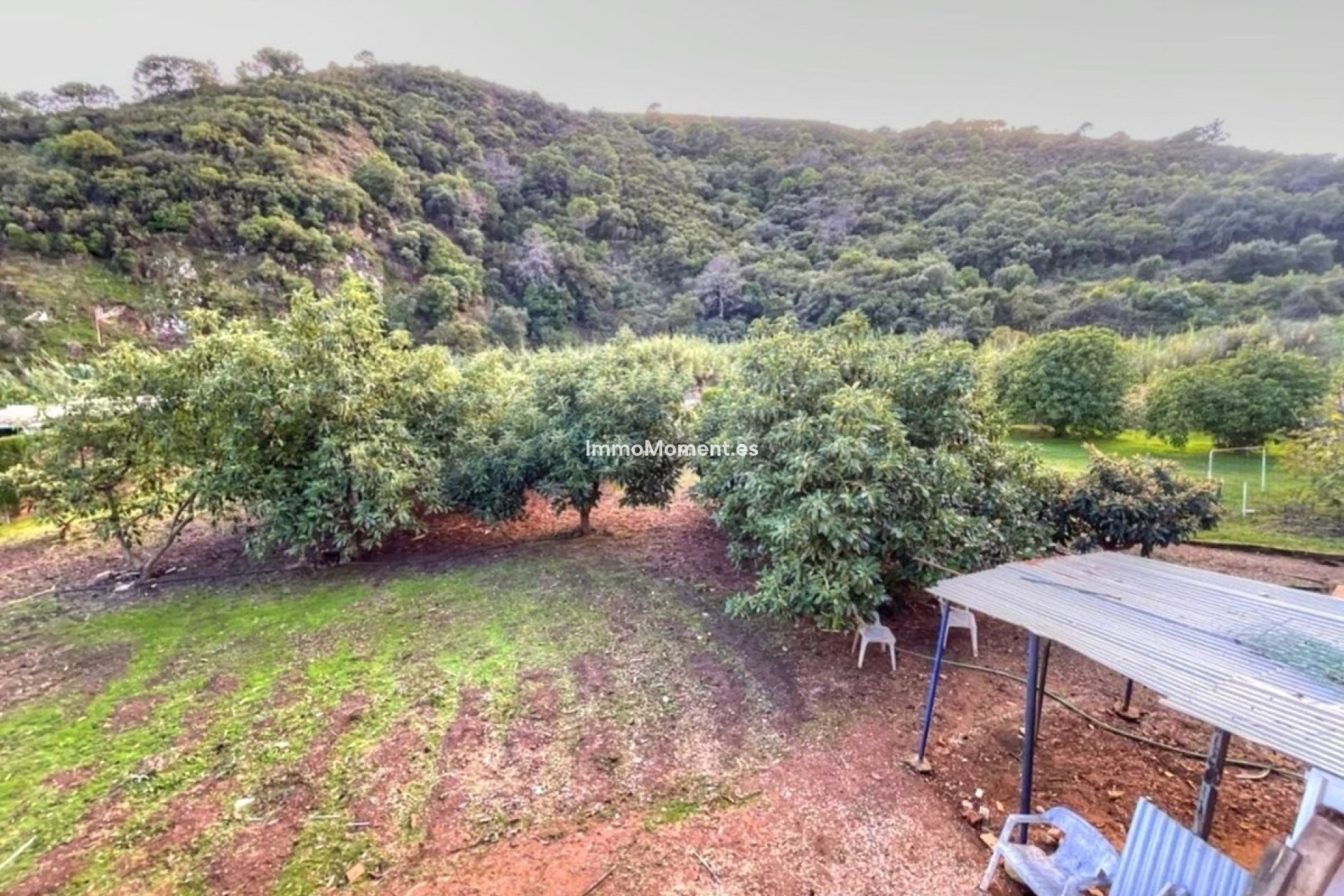 Resale - Country house - Estepona - Estepona Centro