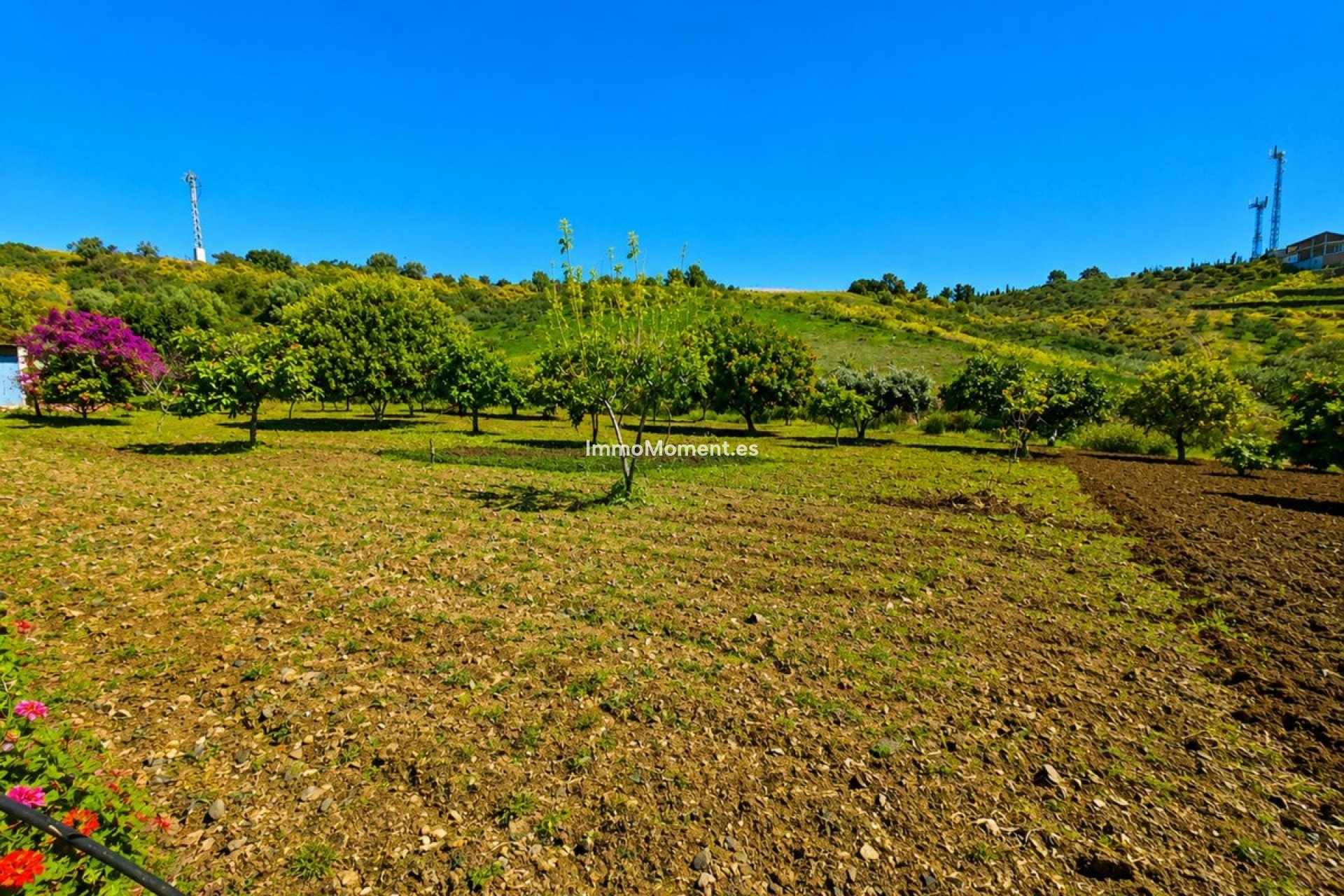 Resale - Country house - Estepona - Estepona Centro