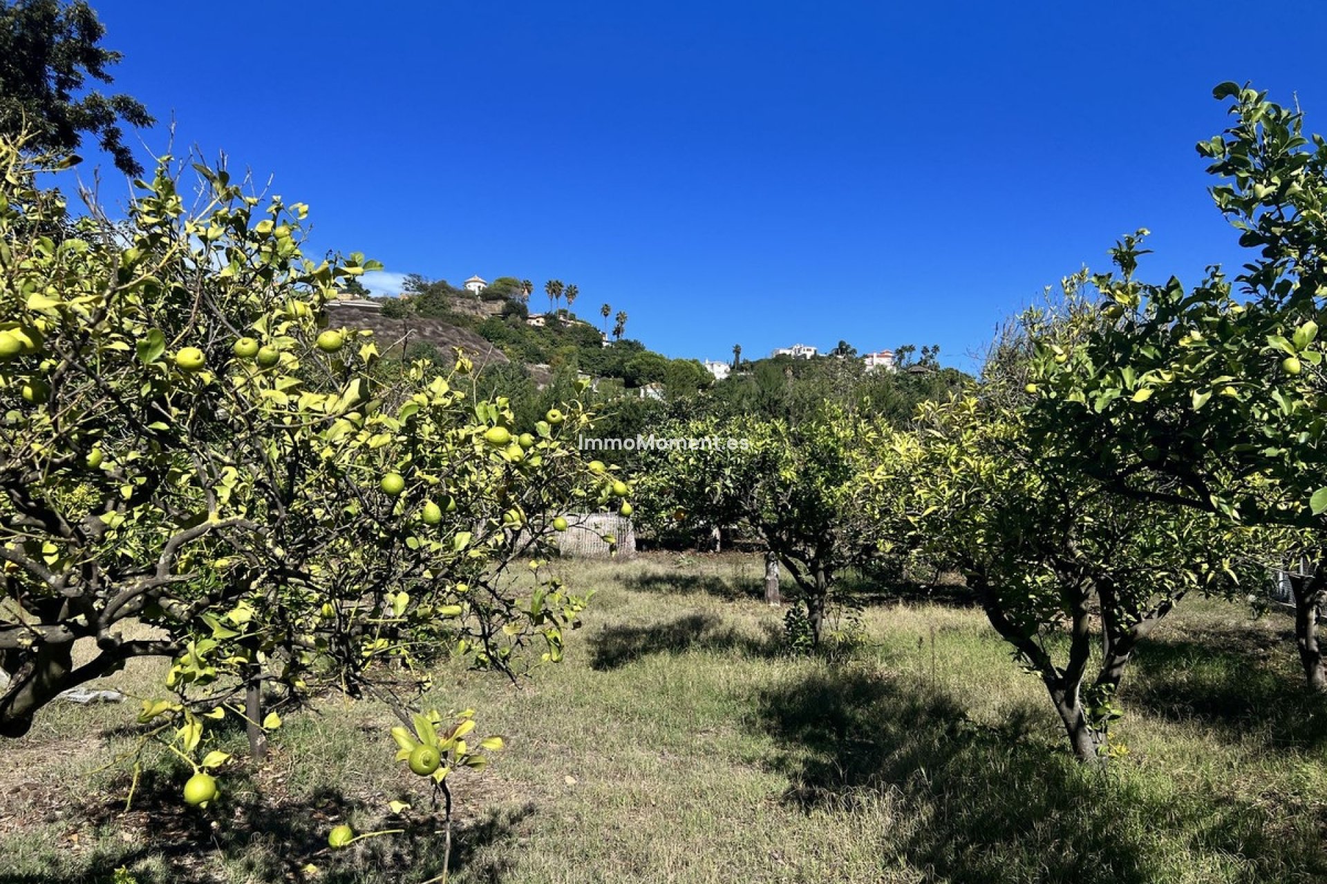 Resale - Country house - Estepona - New Golden Mile