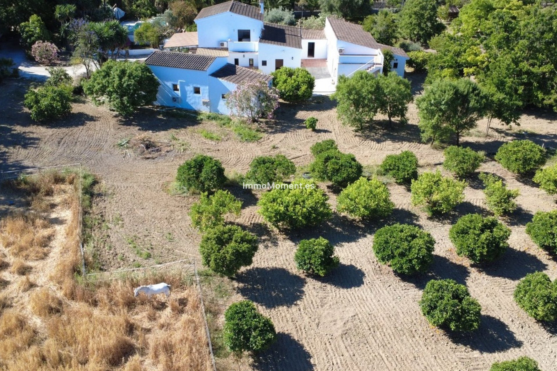 Resale - Country house - Inland  - Alhaurín el Grande Centro