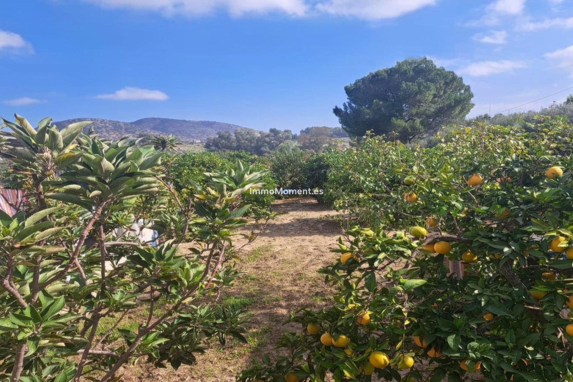 Resale - Country house - Inland  - Alhaurín el Grande Centro