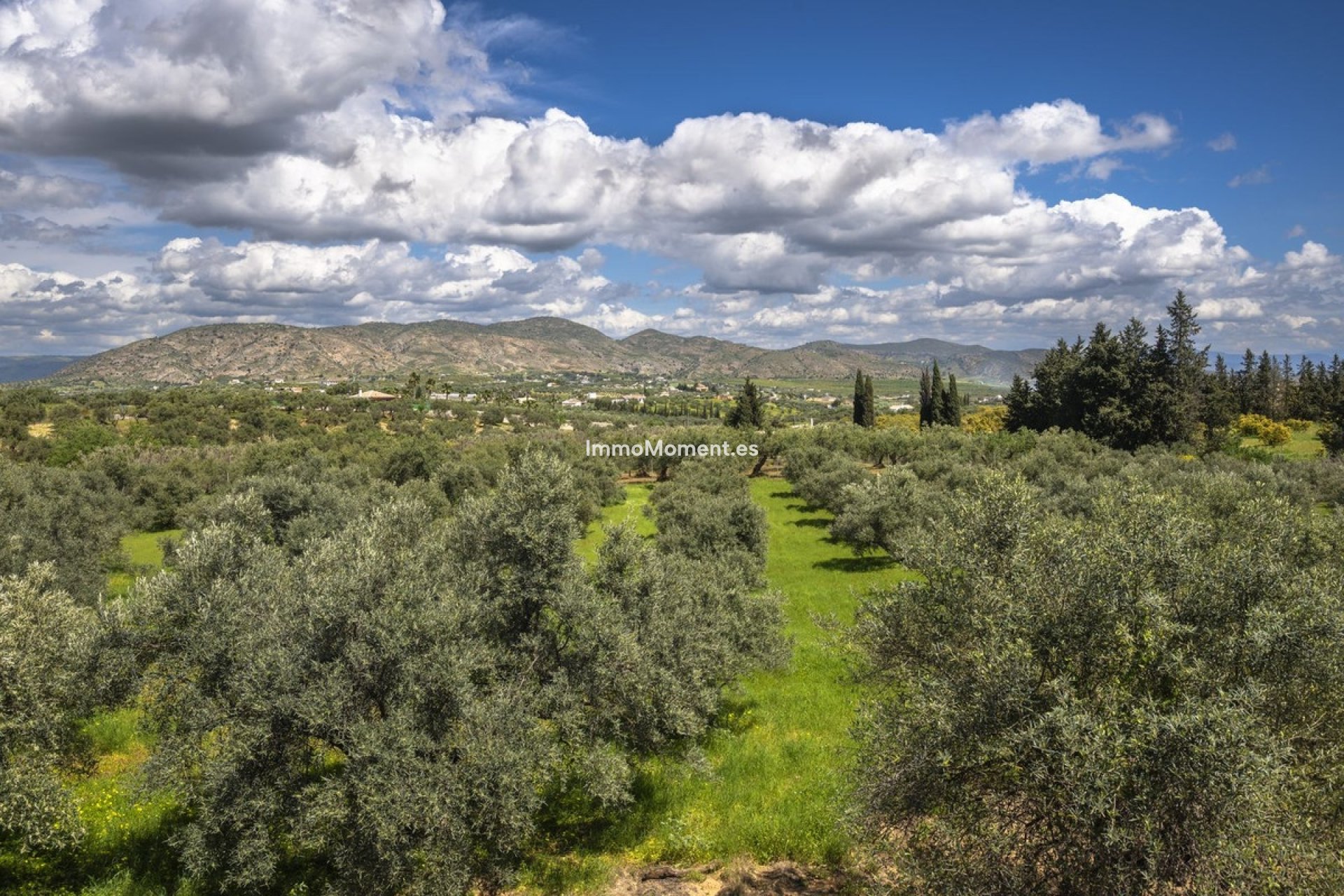 Resale - Country house - Inland  - Alhaurín el Grande Centro