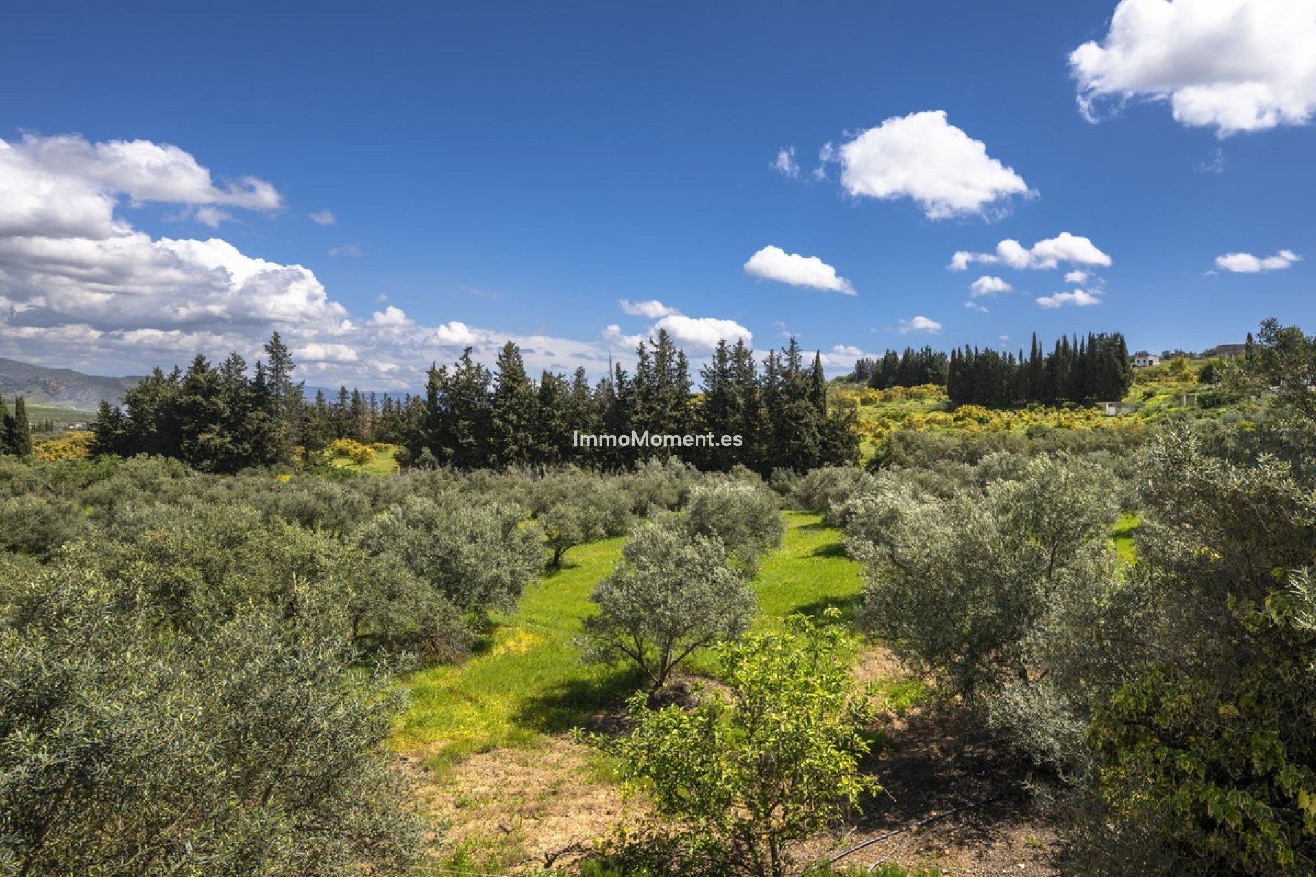 Resale - Country house - Inland  - Alhaurín el Grande Centro