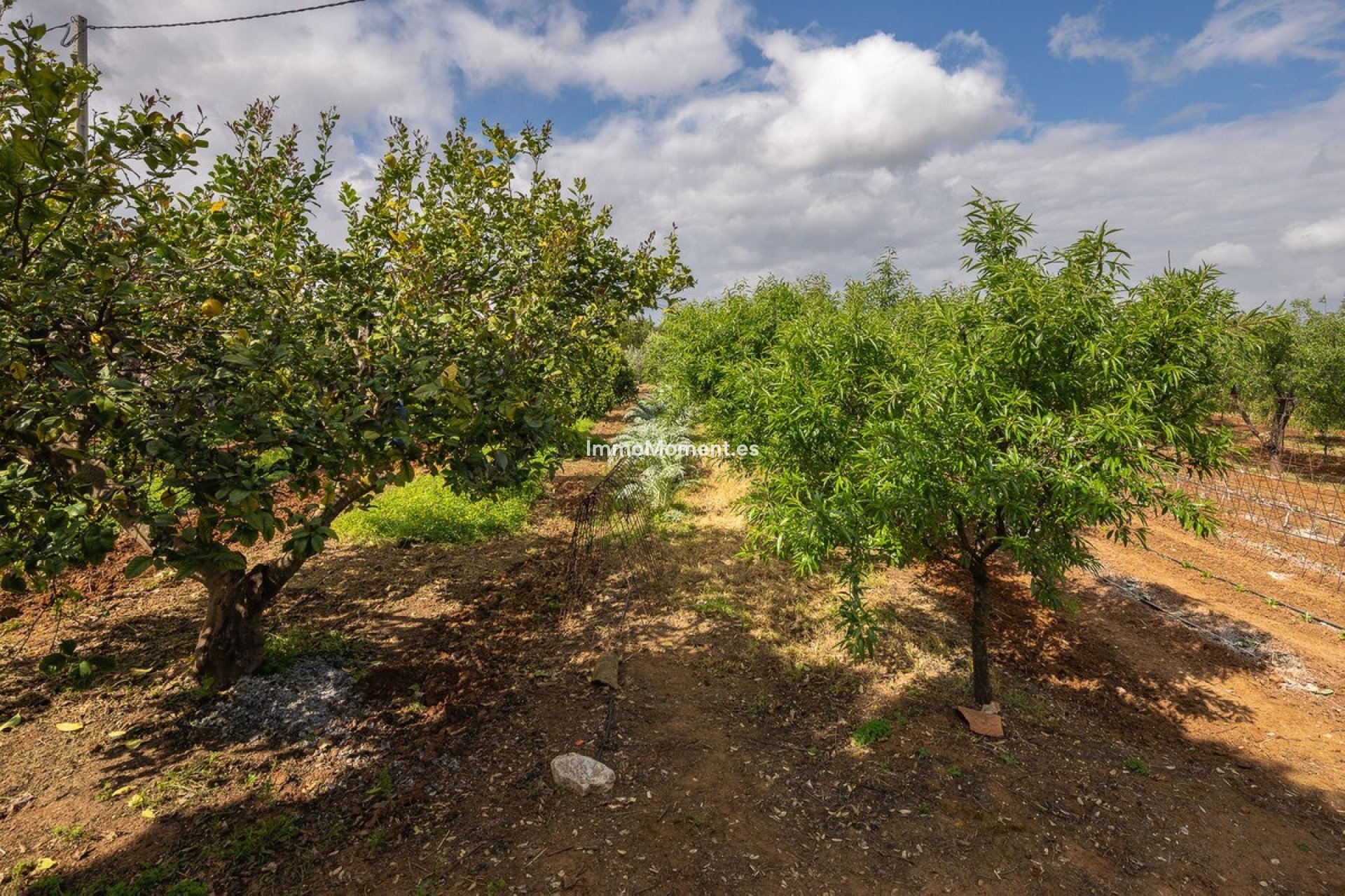 Resale - Country house - Inland  - Alhaurín el Grande Centro