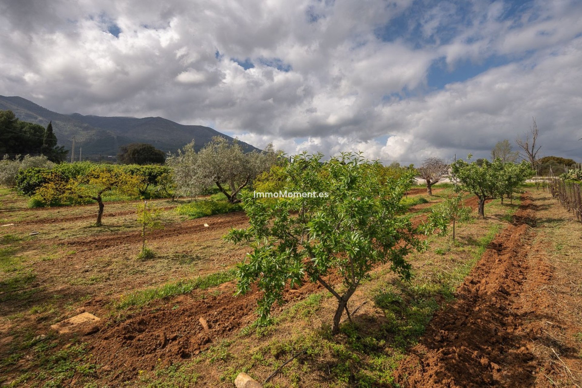 Resale - Country house - Inland  - Alhaurín el Grande Centro