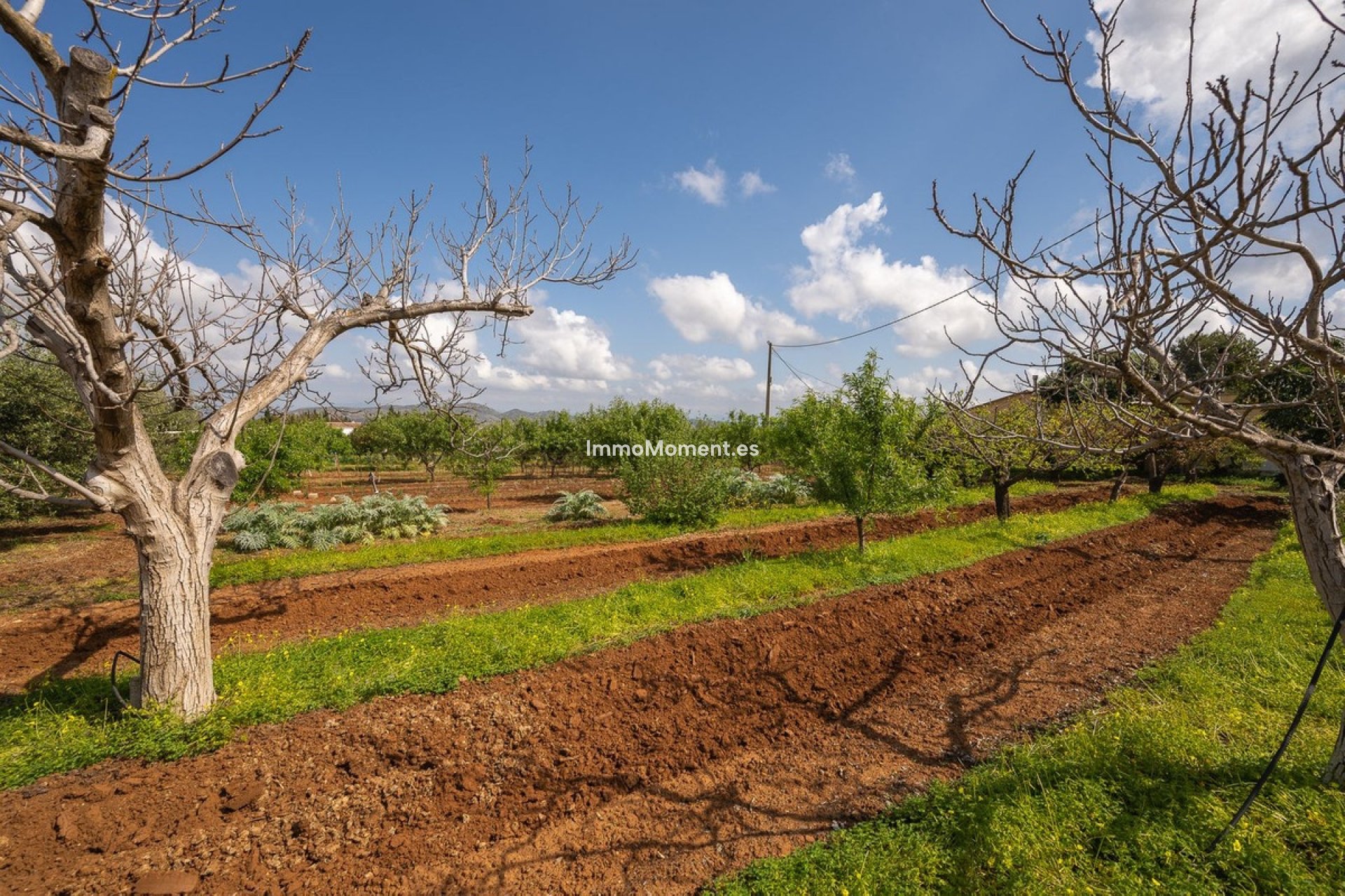 Resale - Country house - Inland  - Alhaurín el Grande Centro