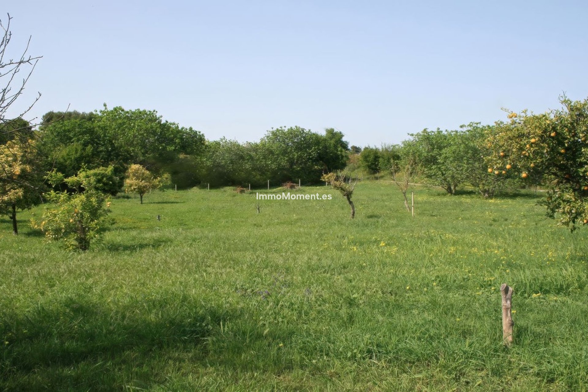 Resale - Country house - Inland  - Alhaurín el Grande Centro