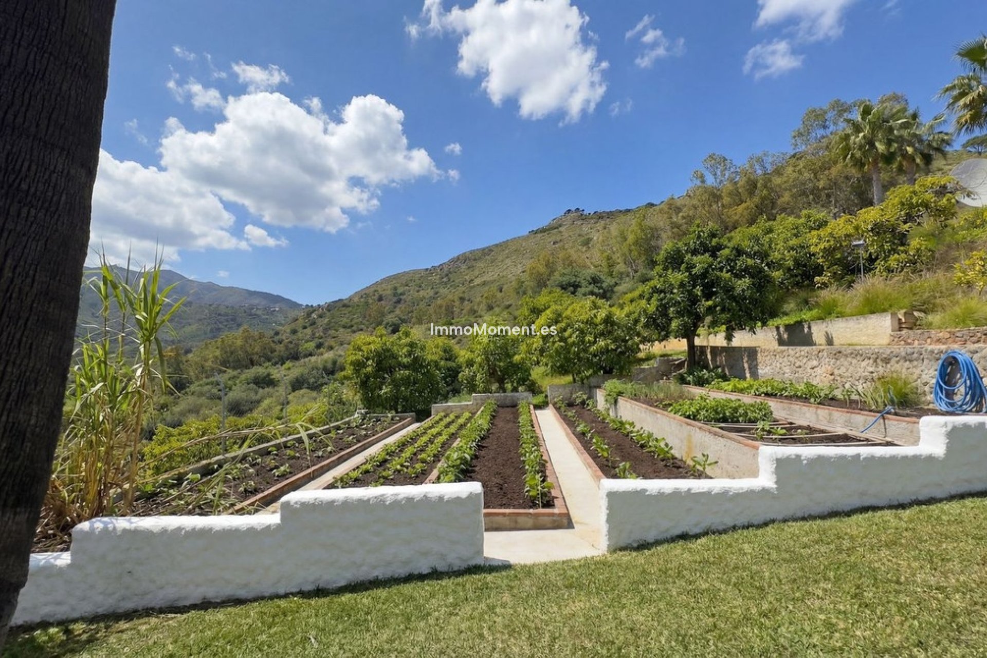 Resale - Country house - Inland  - Alhaurín el Grande Centro
