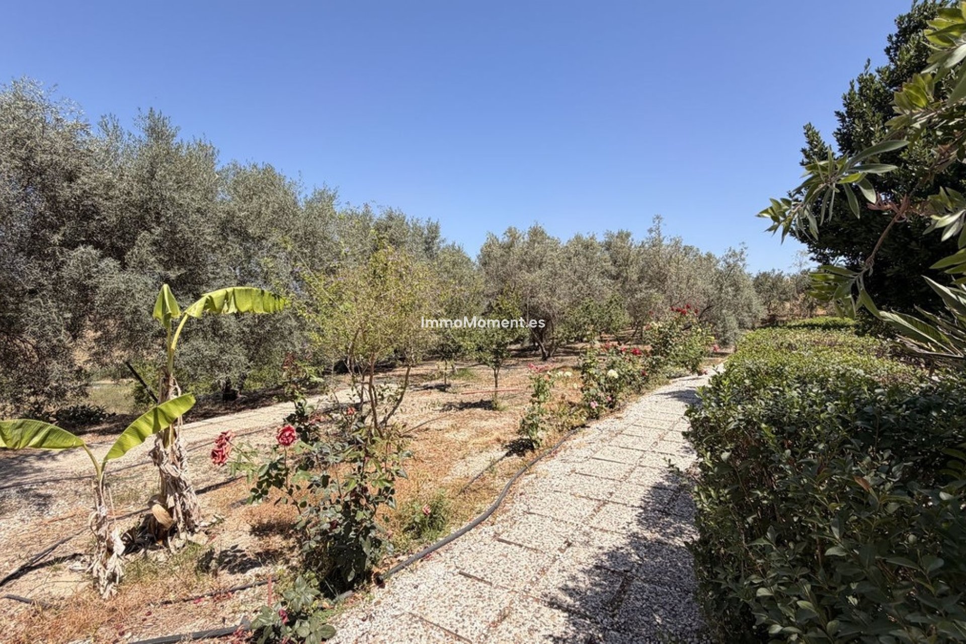 Resale - Country house - Inland  - Alhaurín el Grande Centro