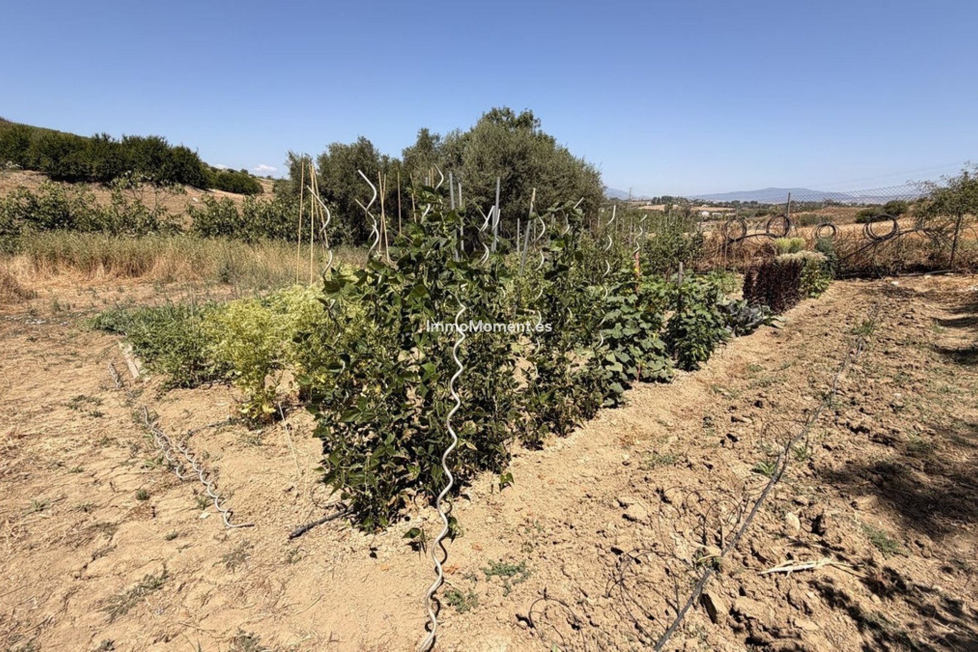 Resale - Country house - Inland  - Alhaurín el Grande Centro