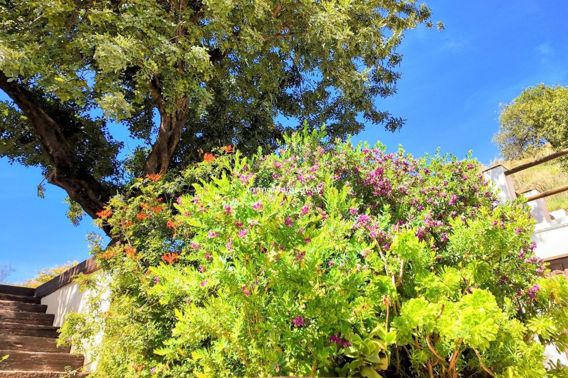 Resale - Country house - Inland  - Almogía