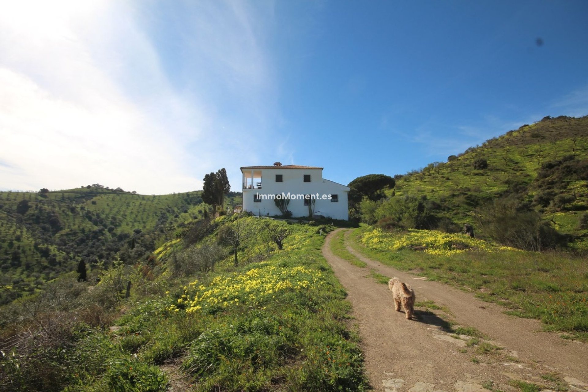 Resale - Country house - Inland  - Almogía