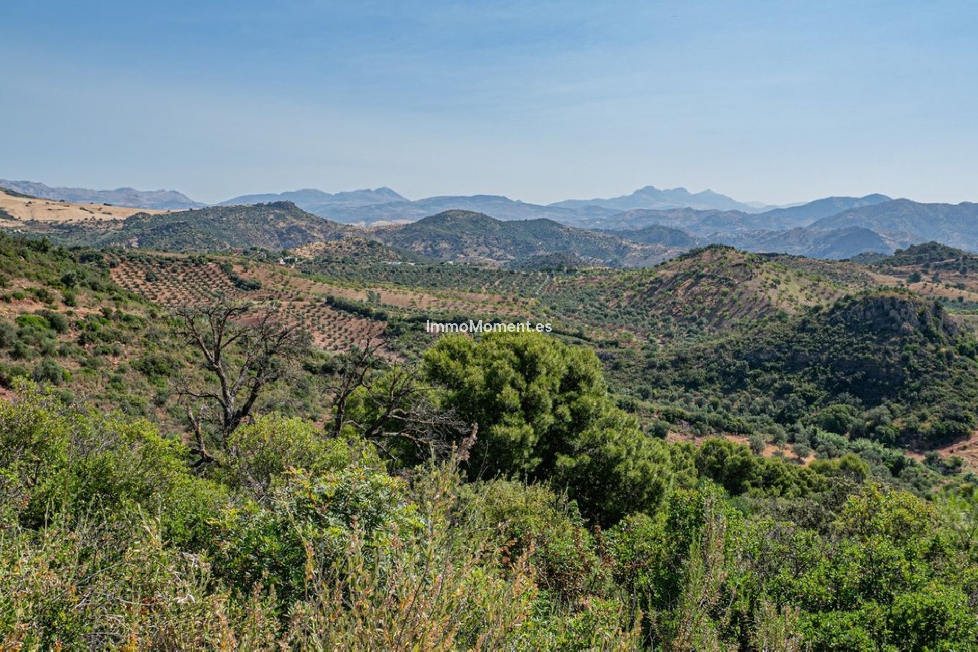 Resale - Country house - Inland  - Almogía