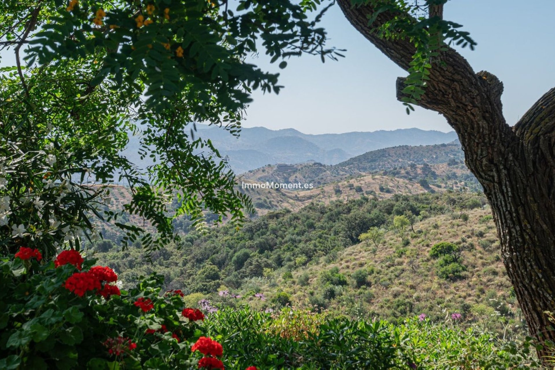 Resale - Country house - Inland  - Almogía