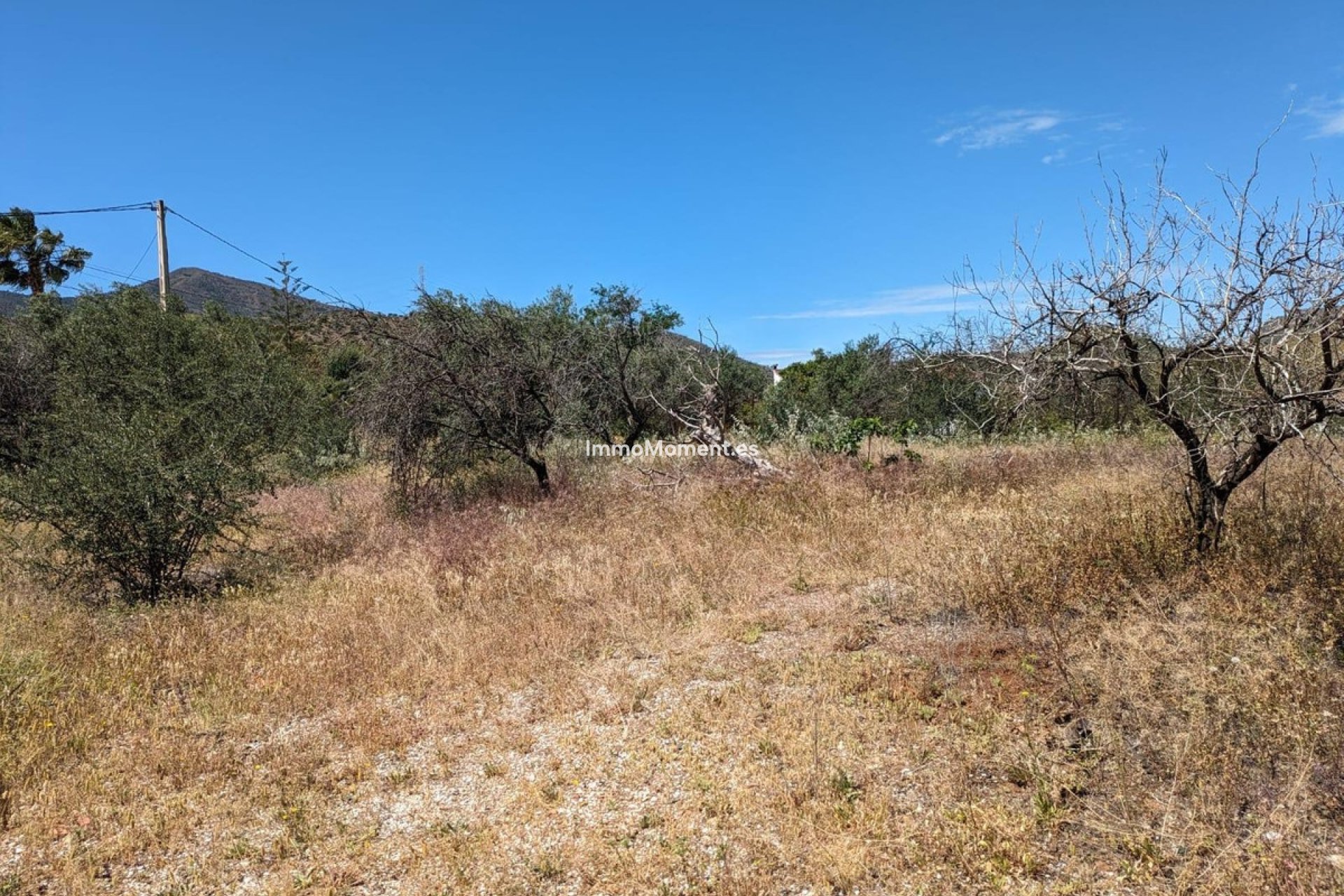 Resale - Country house - Inland  - Alora