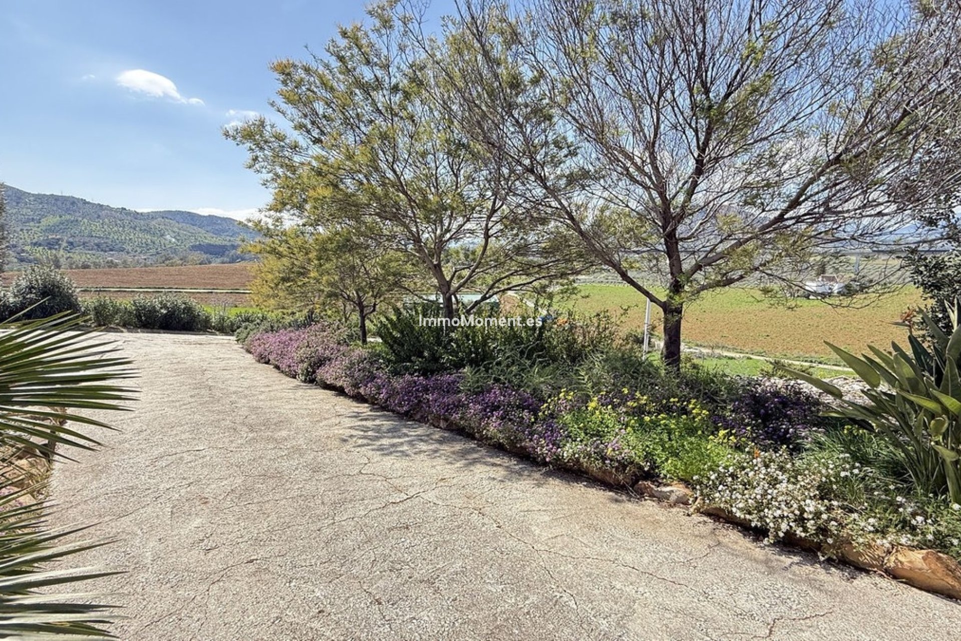 Resale - Country house - Inland  - Alora